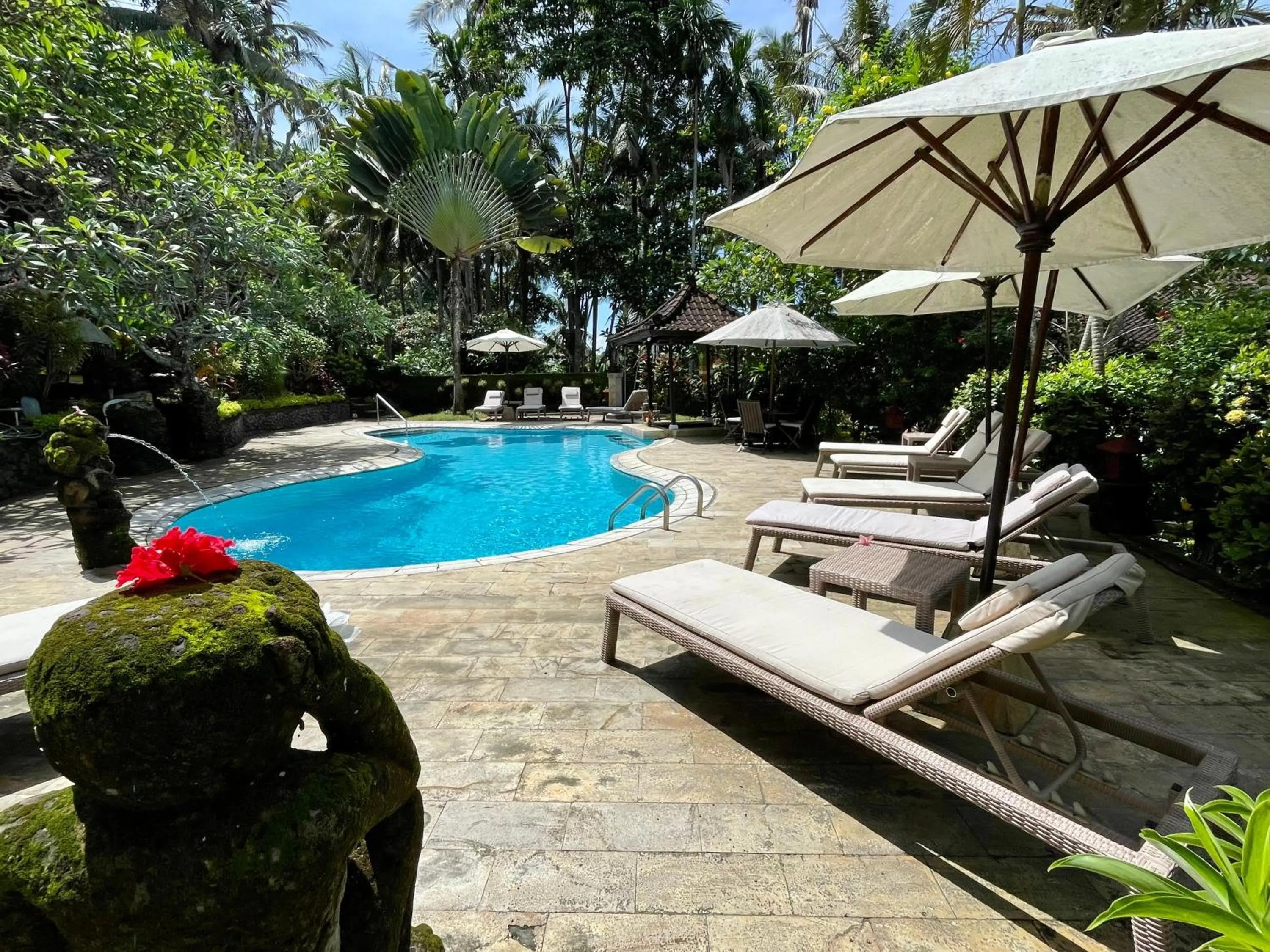 Pool view in Dasa Wana - DW Jungle Resort - Candidasa