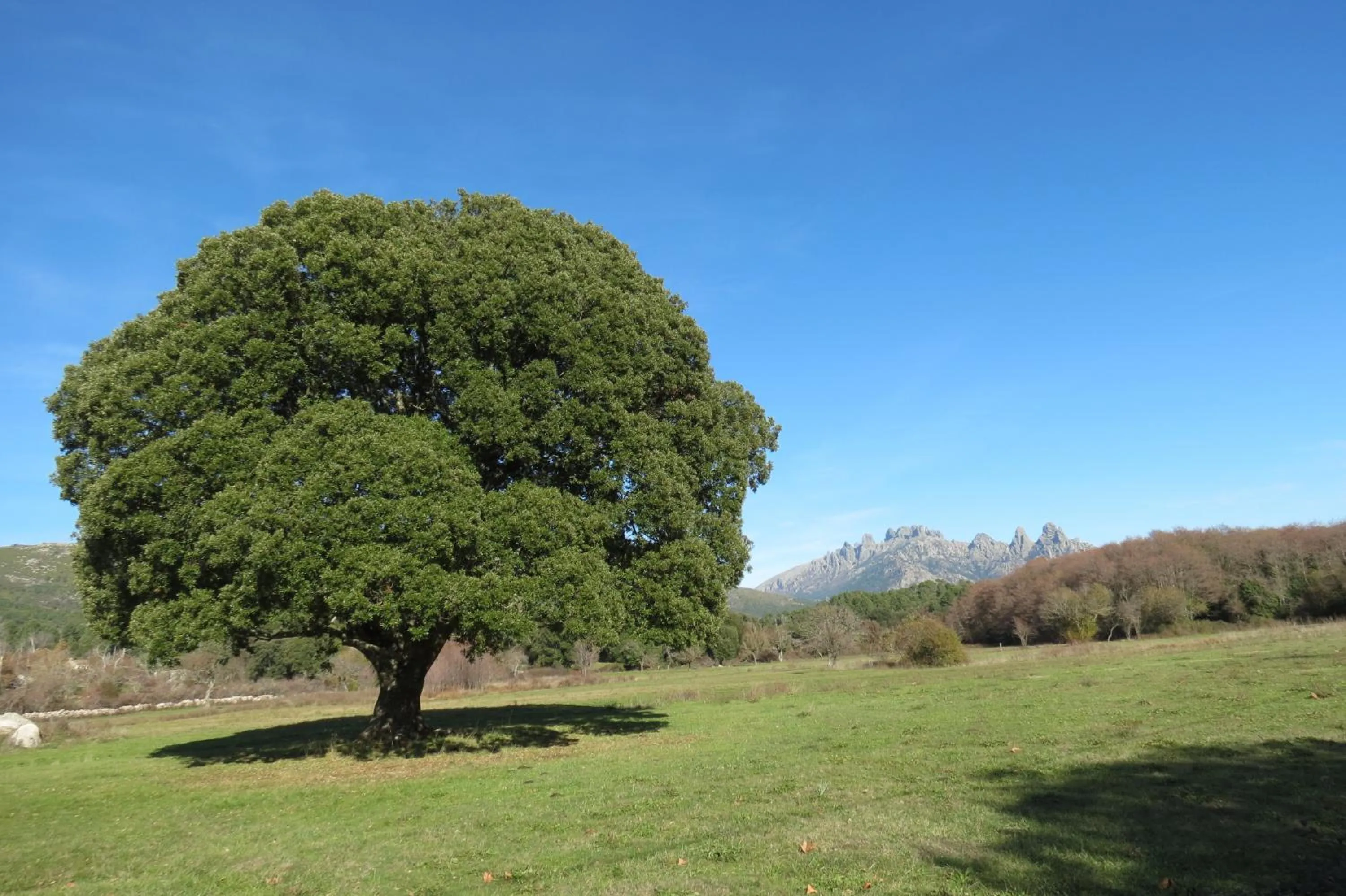 Nearby landmark in Sole E Monti