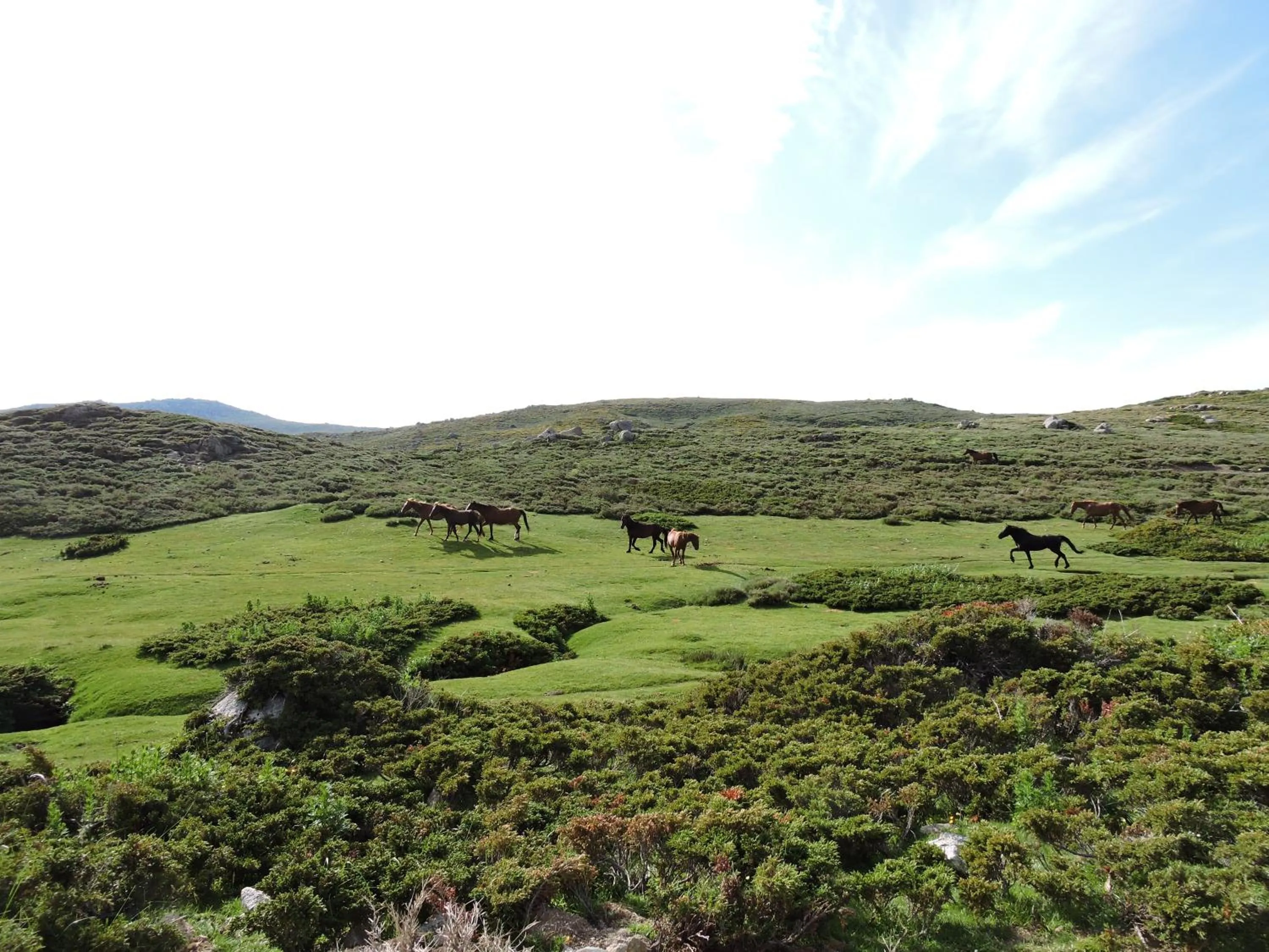 Nearby landmark in Sole E Monti