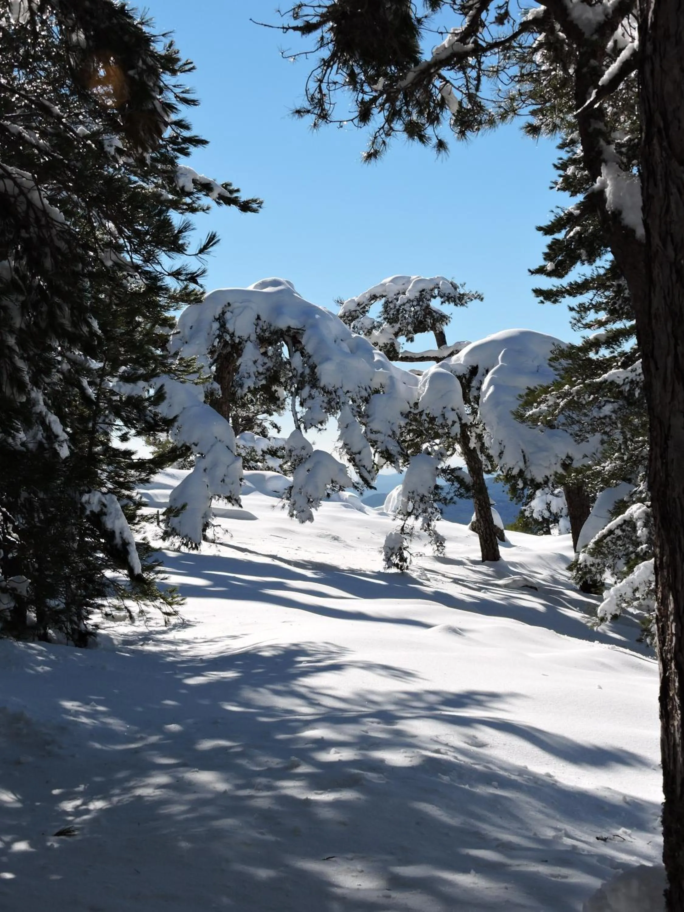 Nearby landmark in Sole E Monti