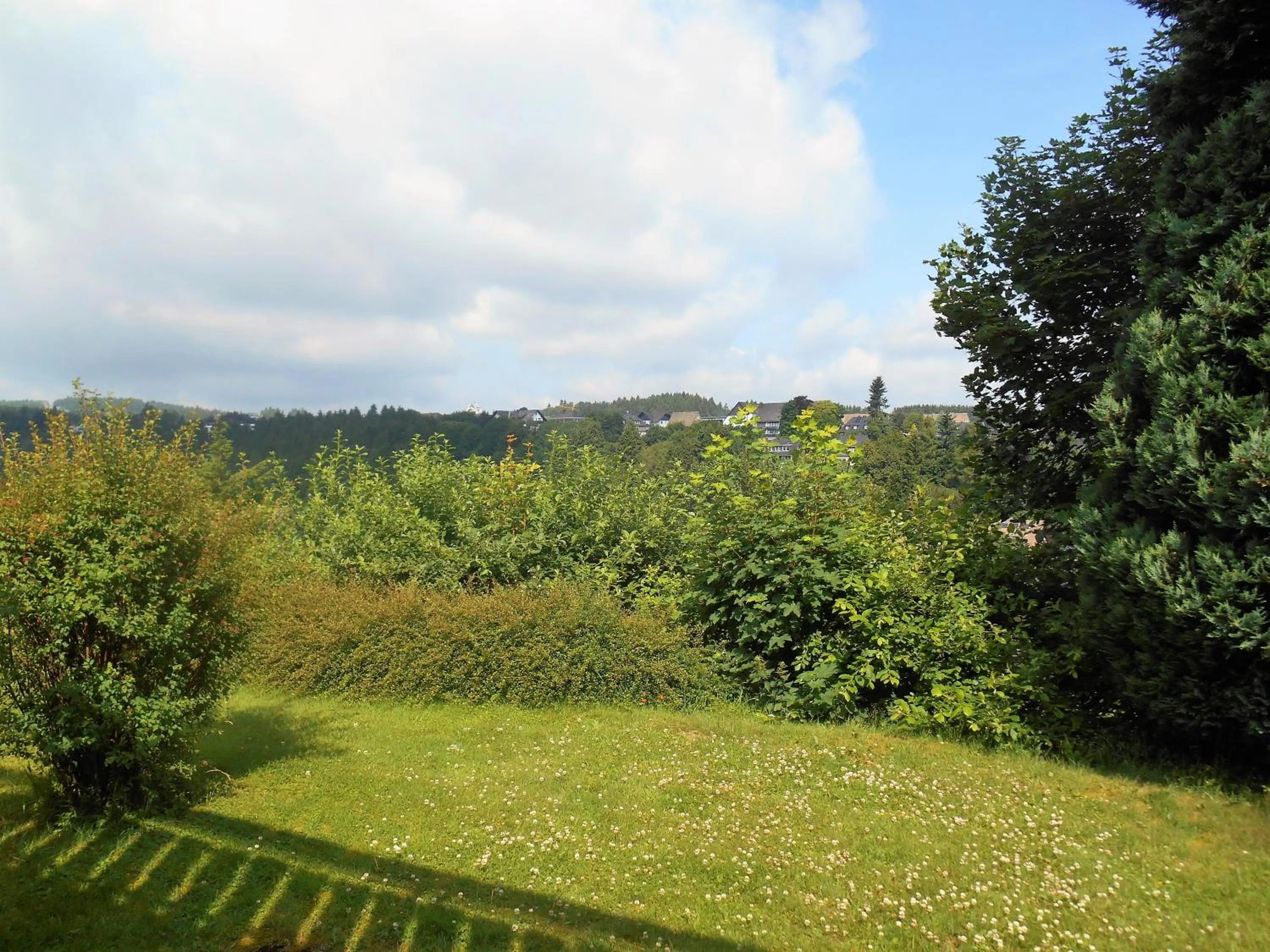 Garden view in Apartment Blickfang Winterberg