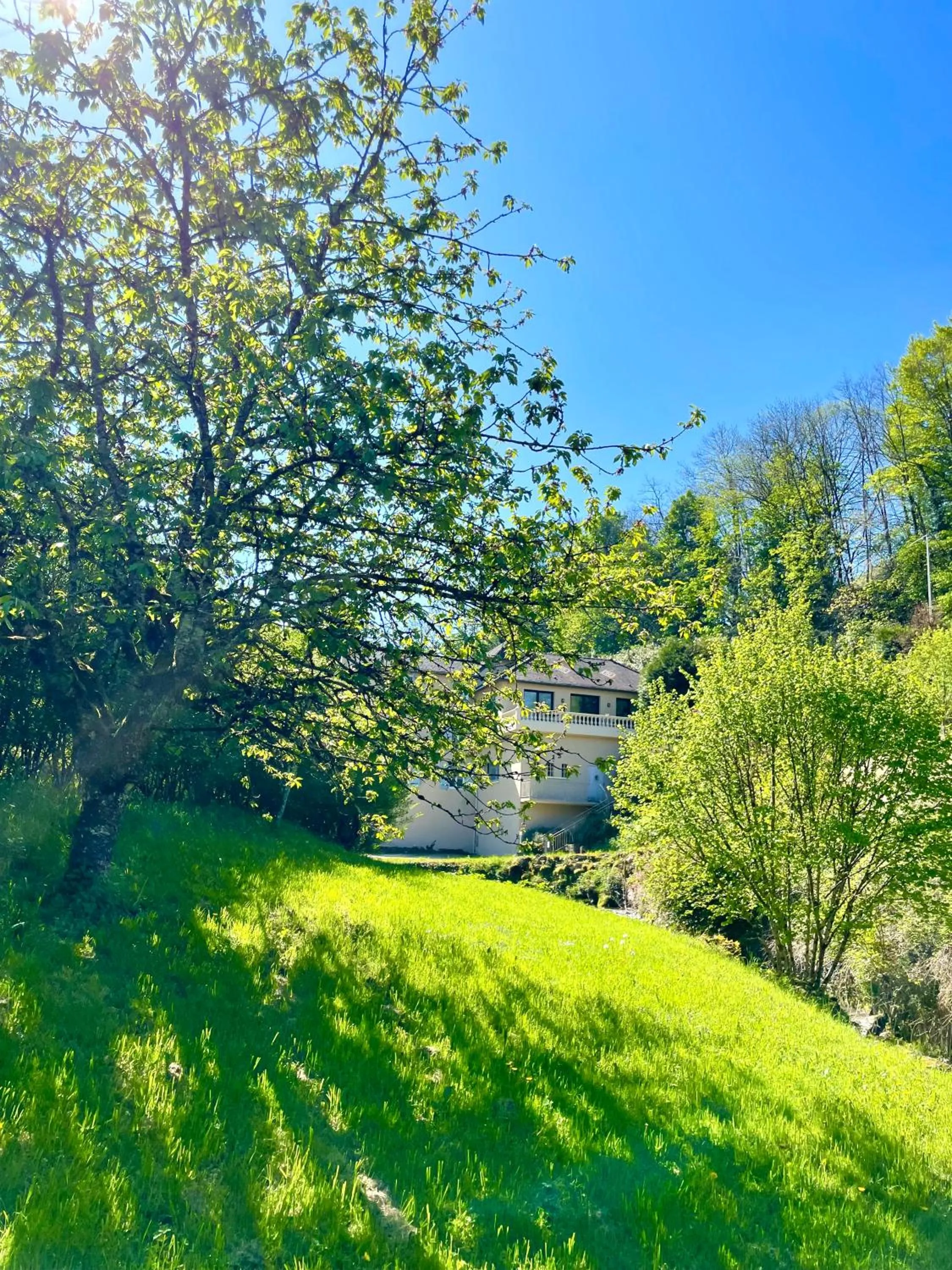 Domaine Du Moulin Vallée Heureuse