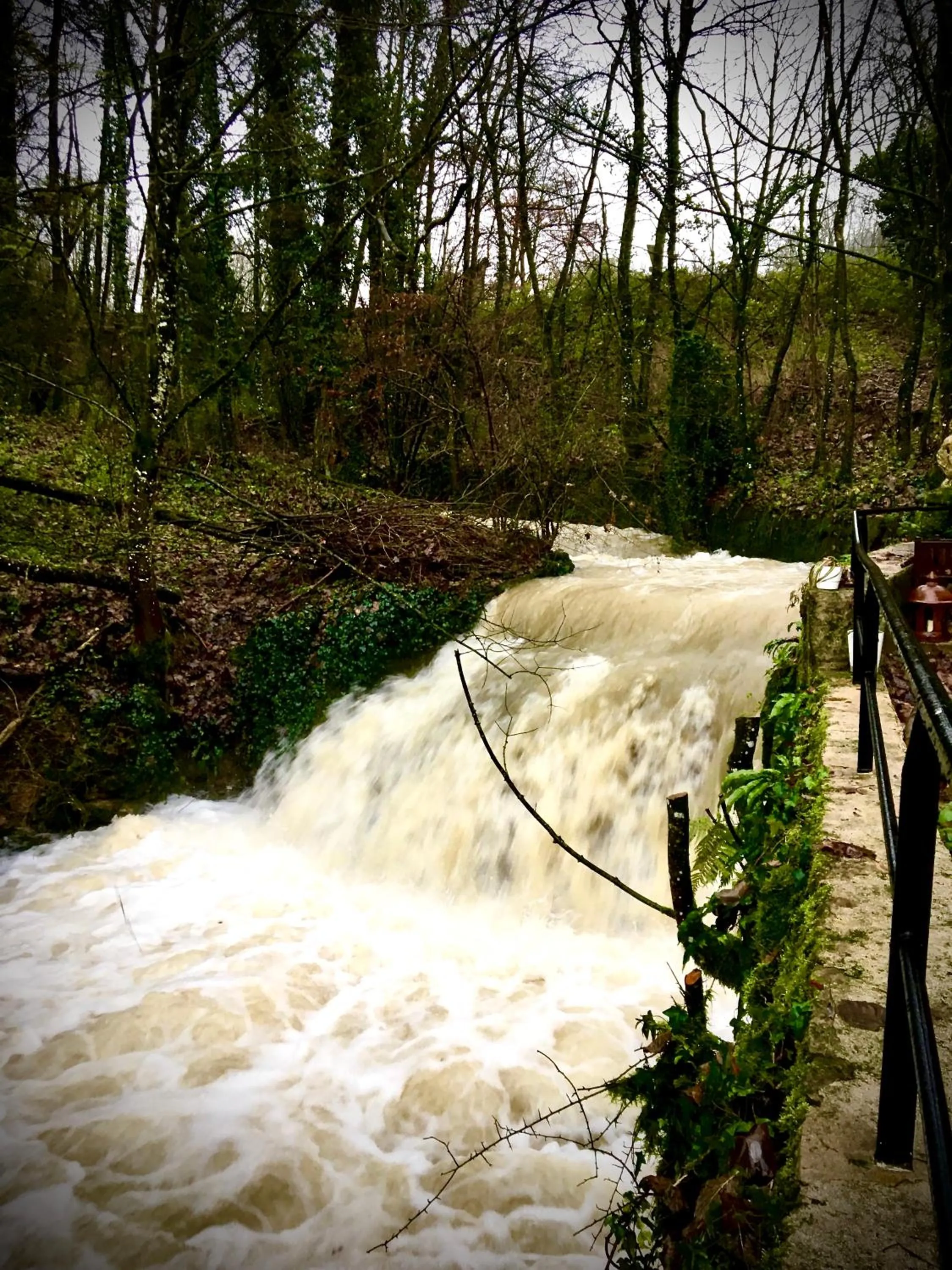 Garden in Domaine Du Moulin Vallée Heureuse