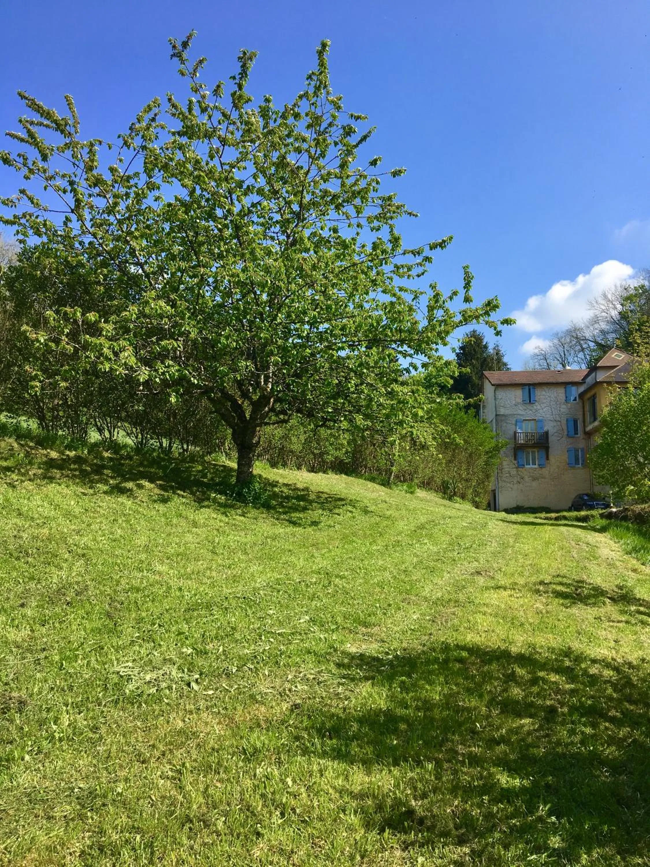 Garden in Domaine Du Moulin Vallée Heureuse
