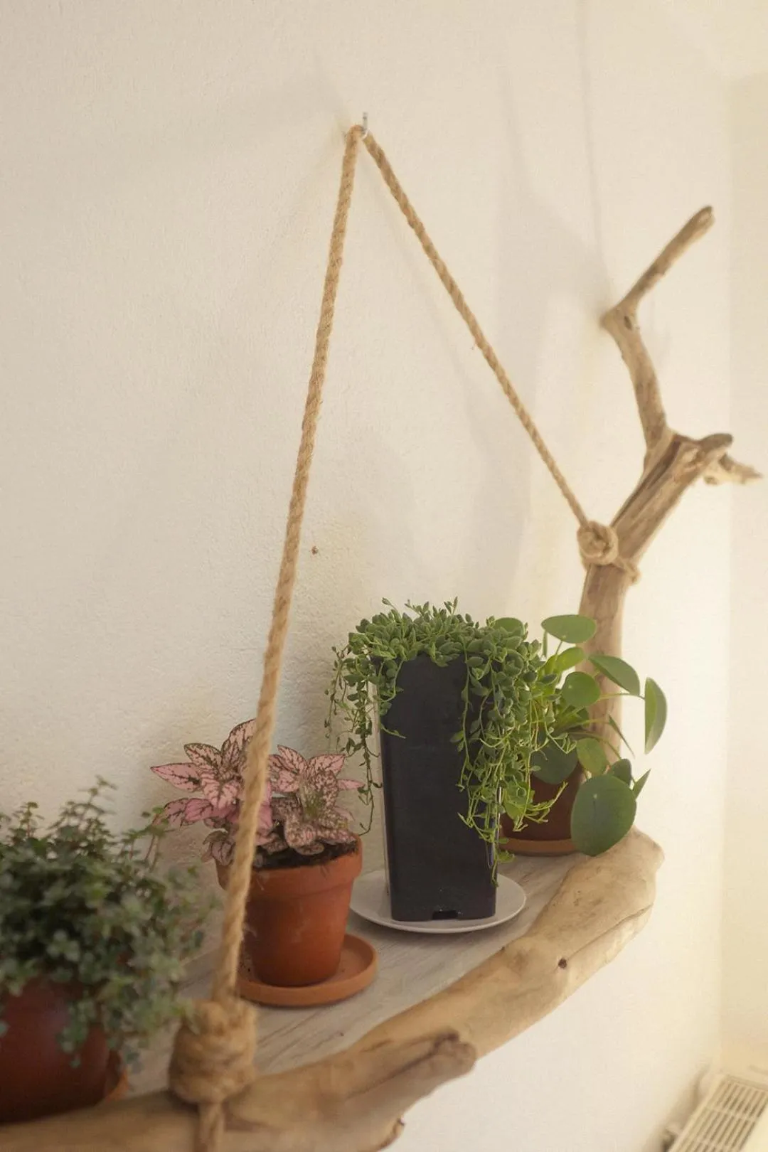 Decorative detail in Lou Candelou