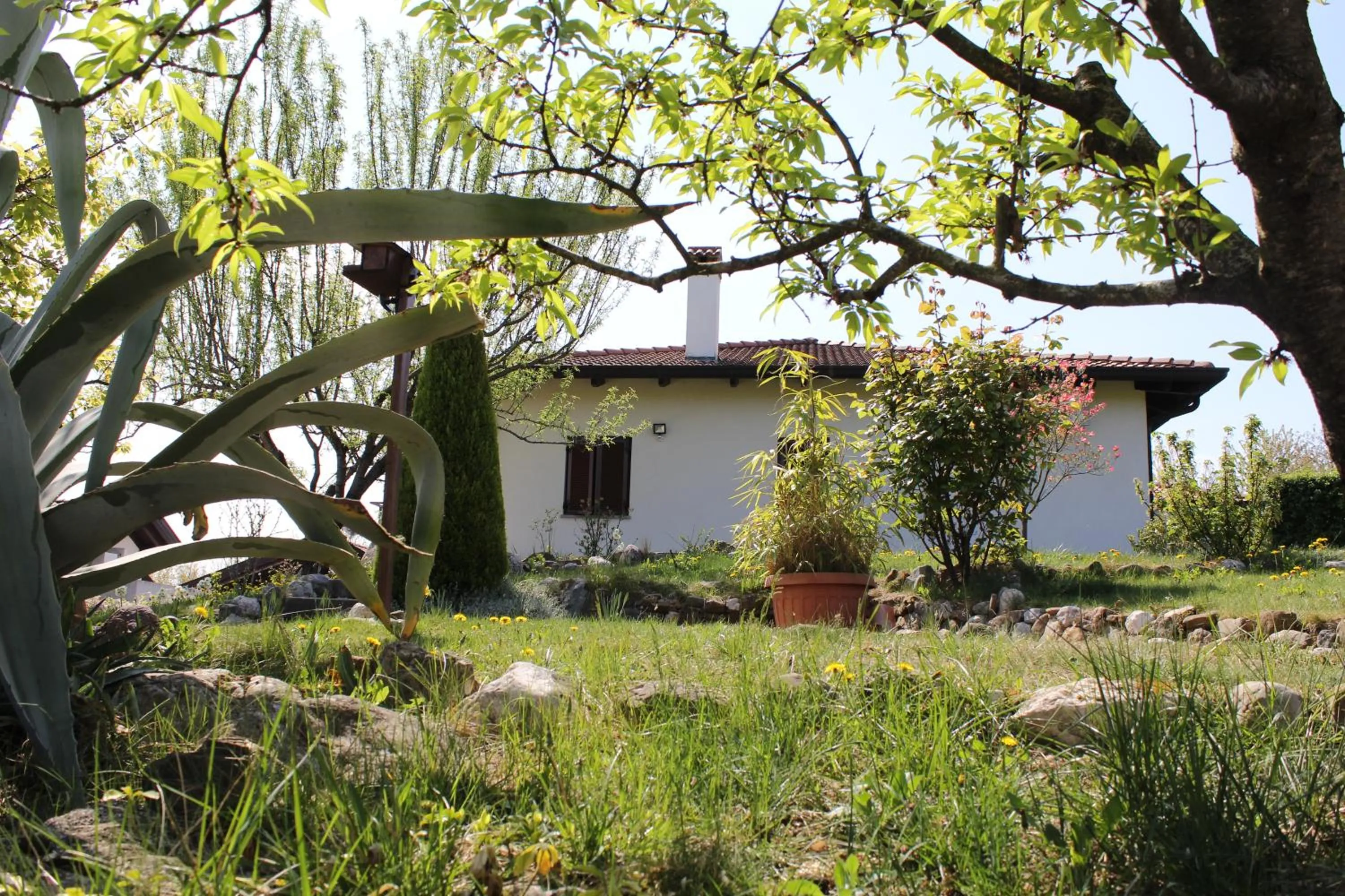 Natural landscape in A Cjase di Sandra