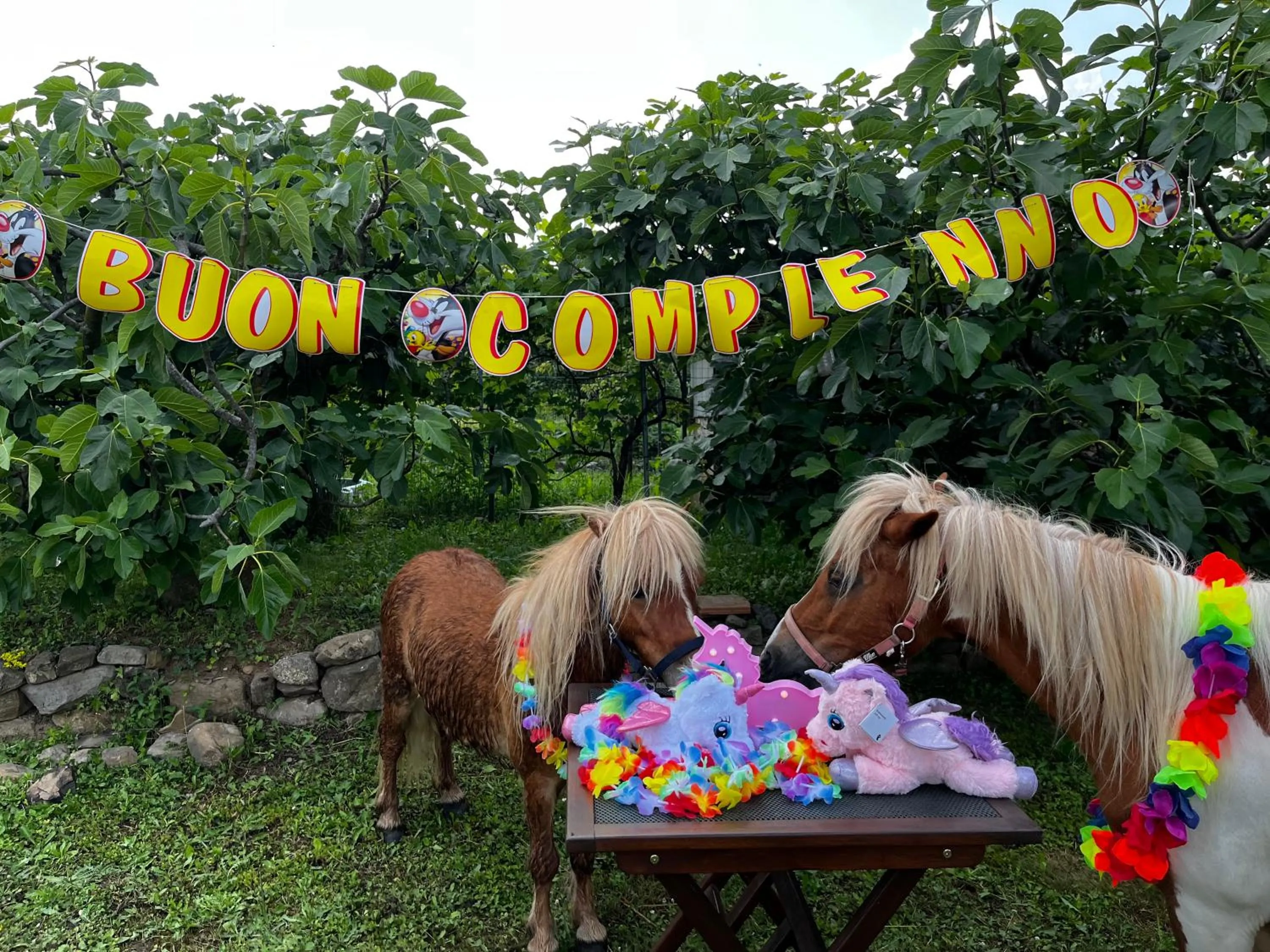 Animals in A Cjase di Sandra