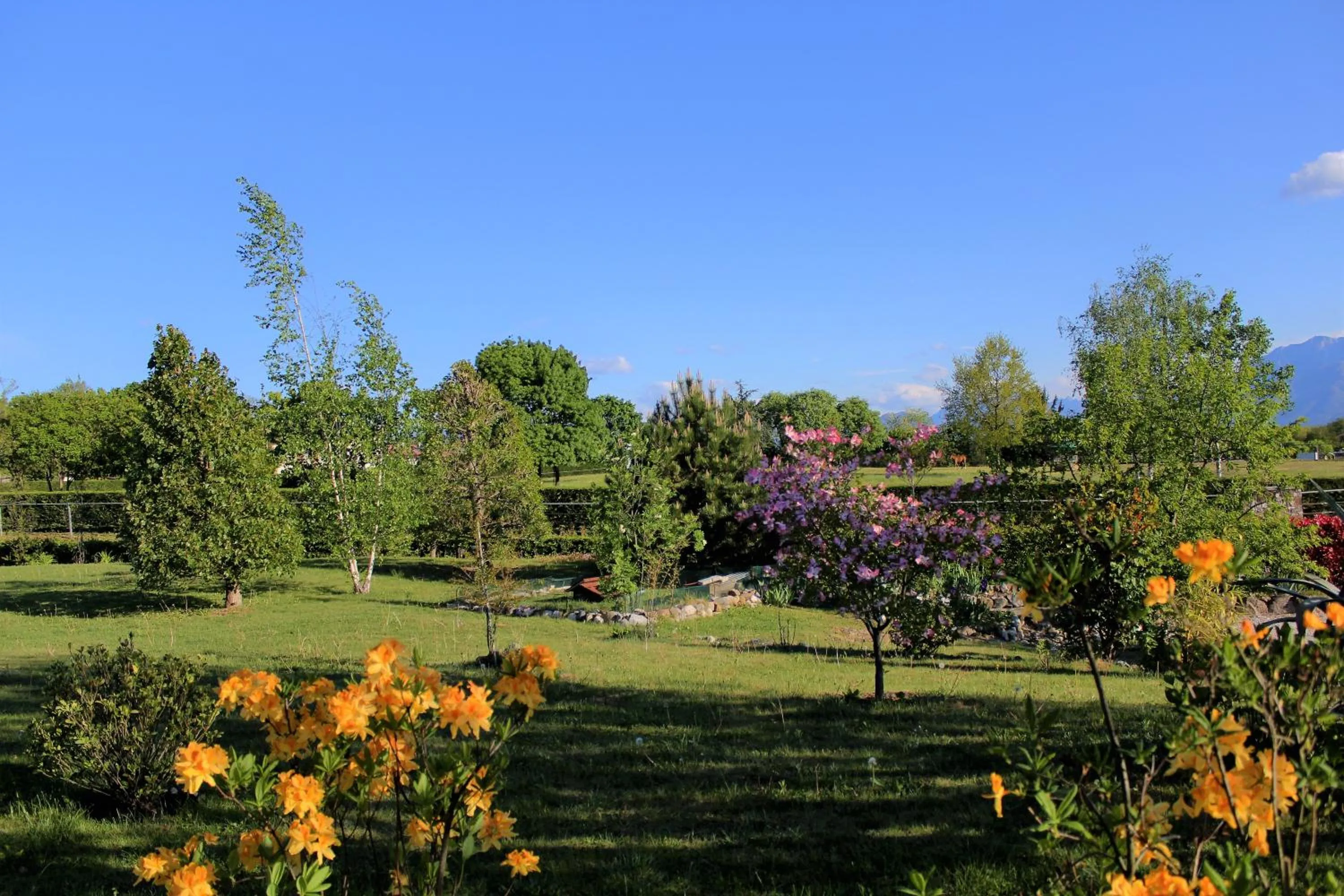 Garden in A Cjase di Sandra