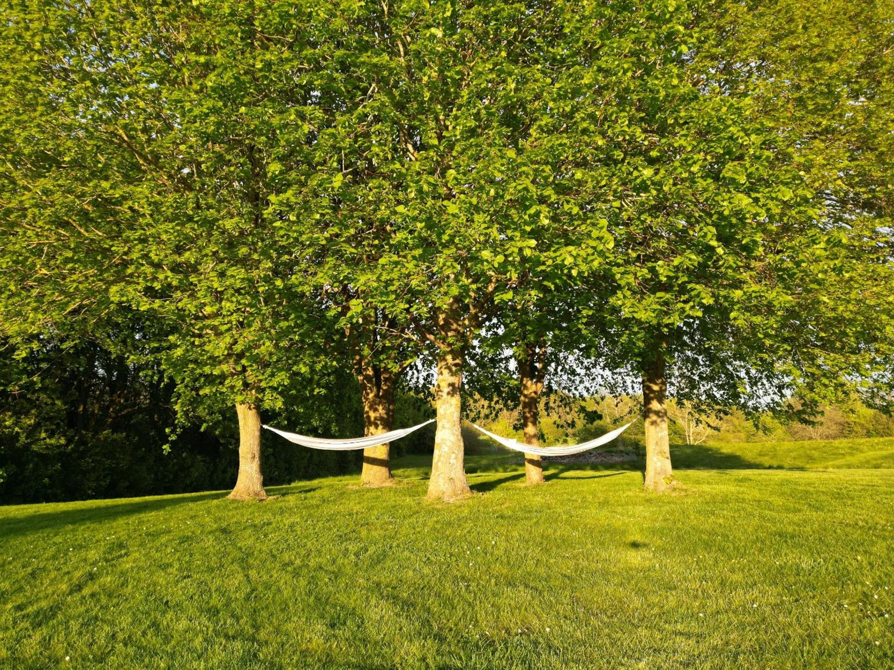 Garden in Bymose Hegn Hotel & Kursuscenter