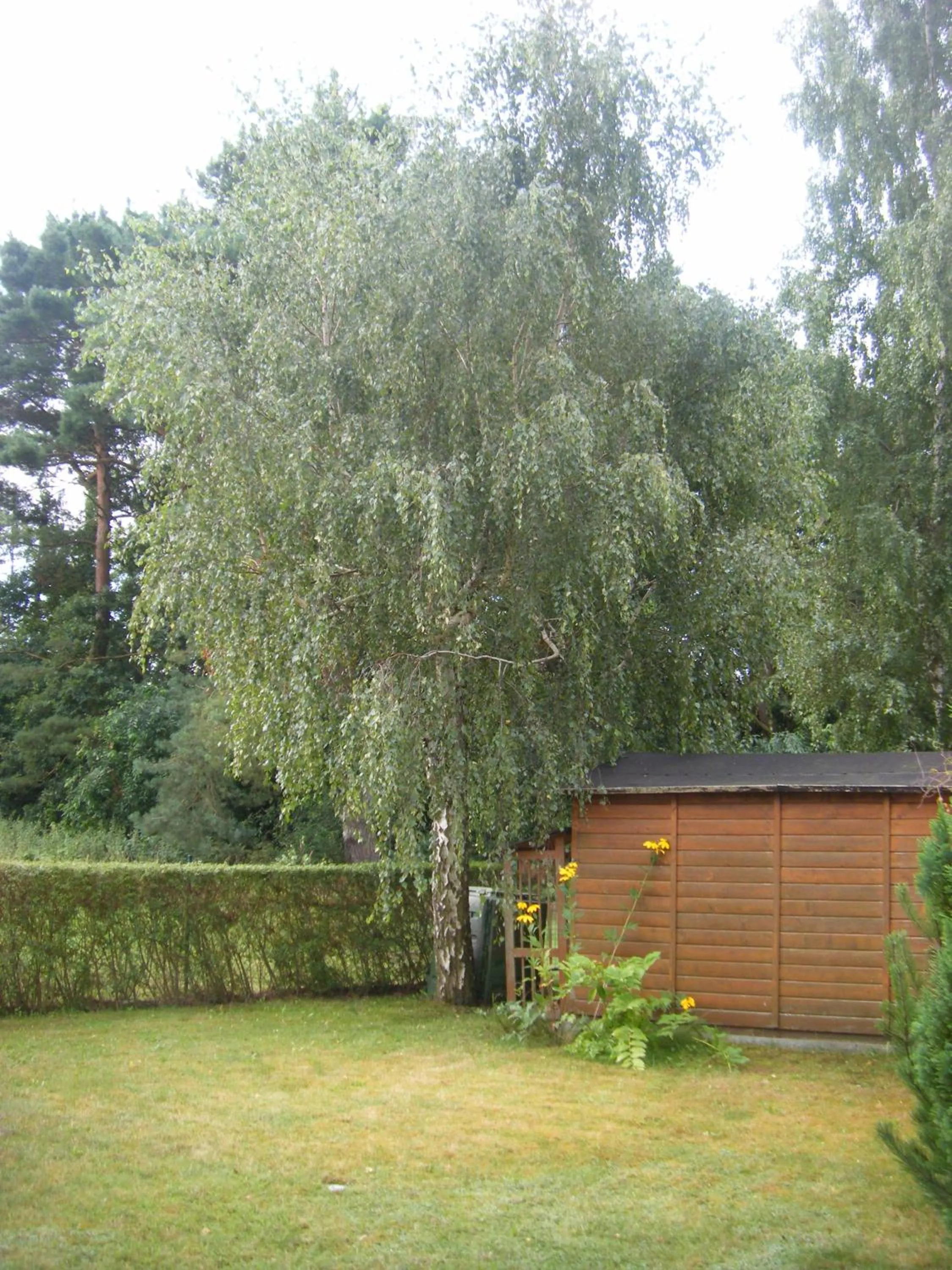 Ferienhaus Marleen