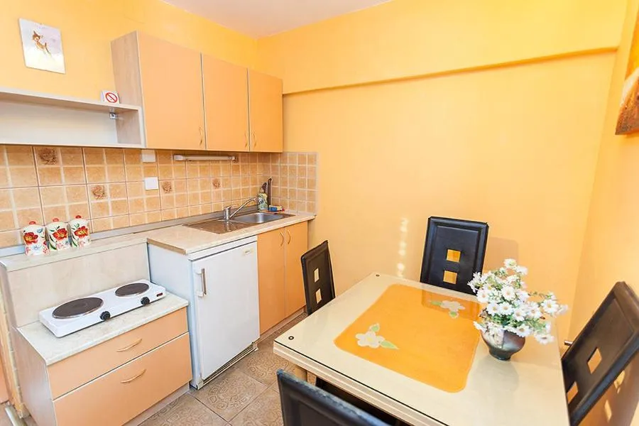 Apartments Milena Zlatibor - Dvorište & Parking