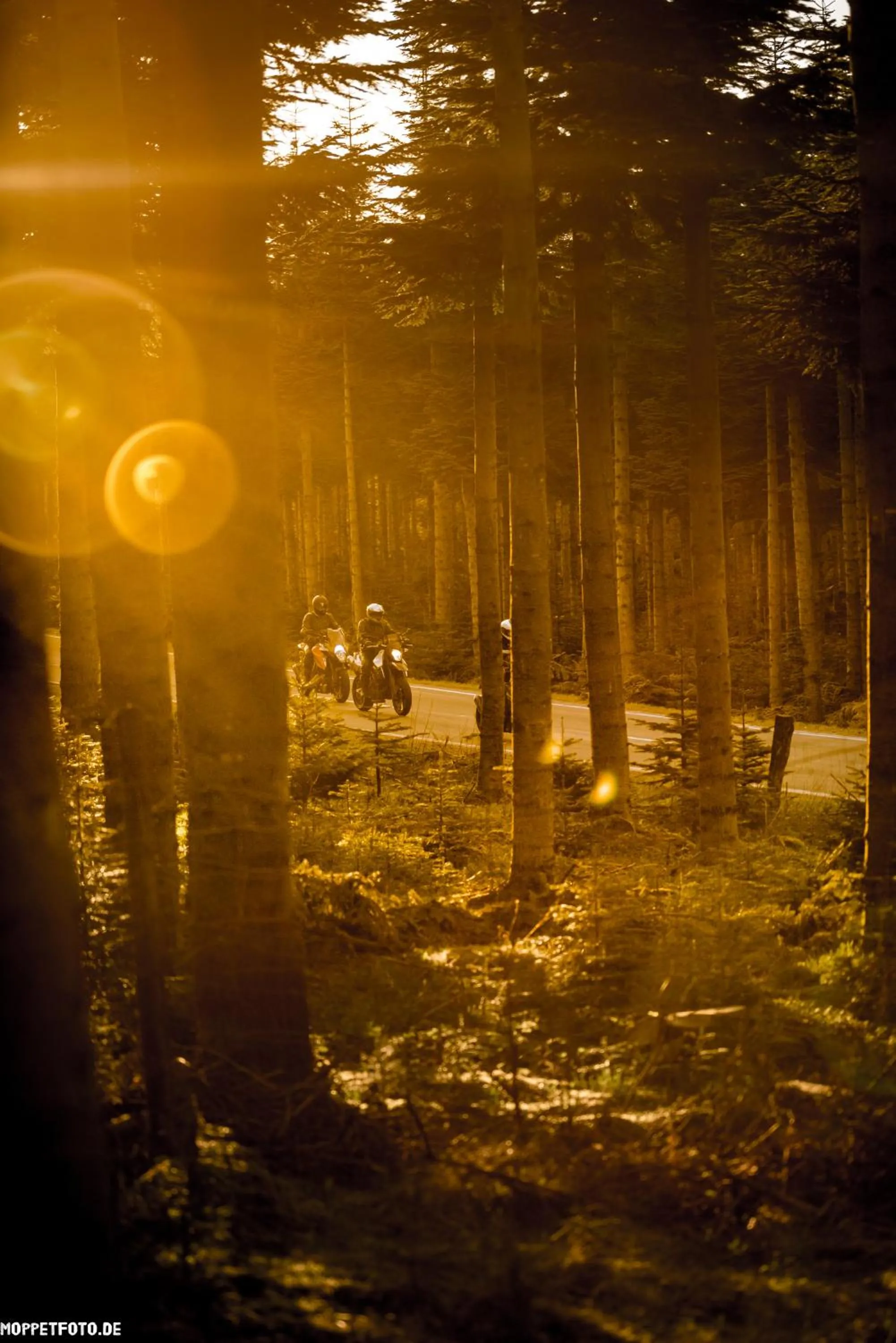 Natural landscape in Hotel Sassor