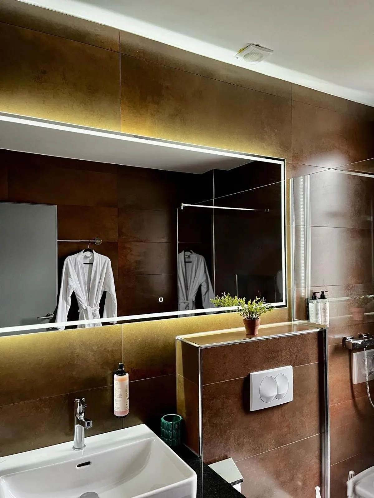 Shower in Swiss Plus Hotel