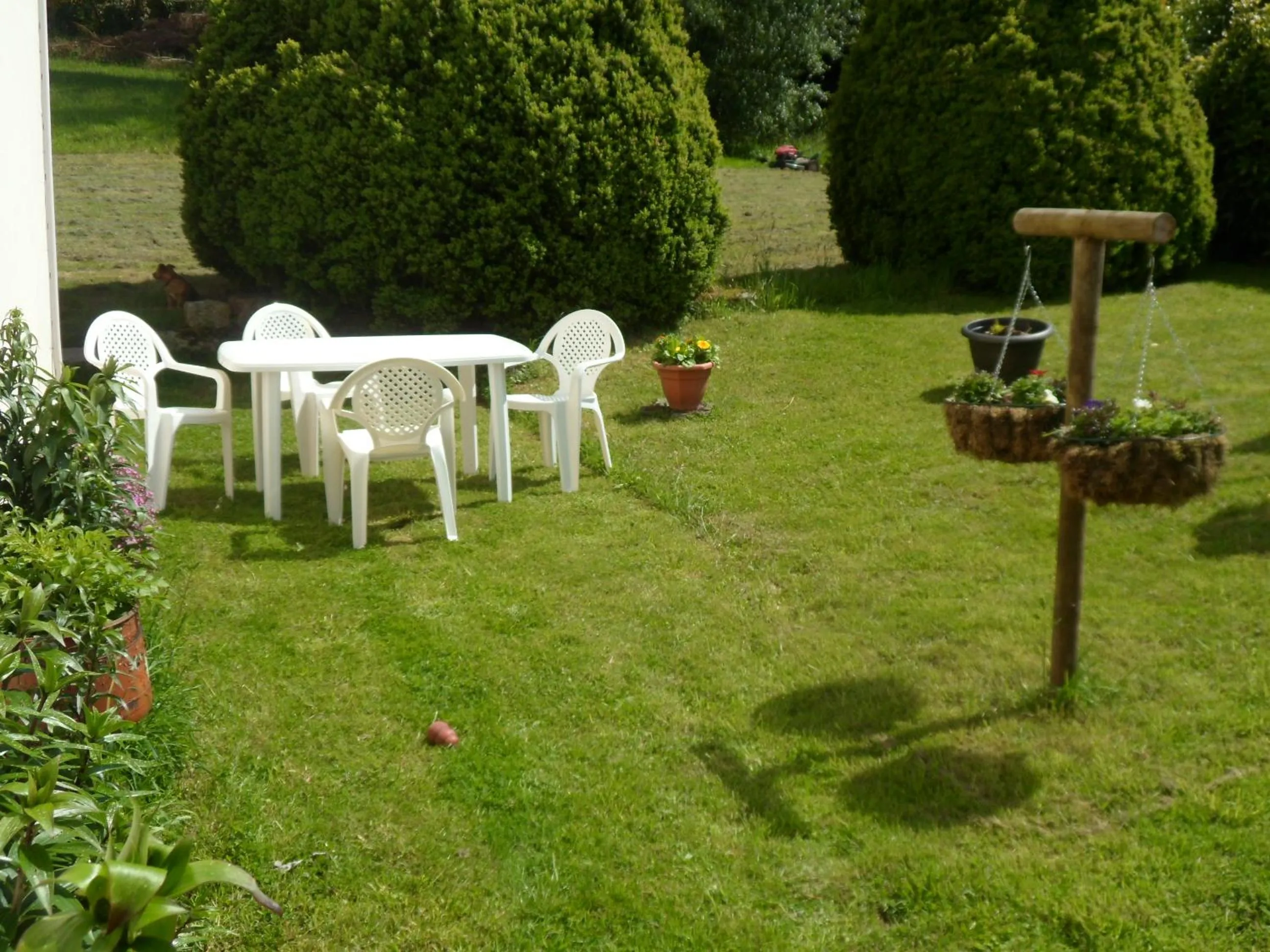 Garden view in Riverside Bed and Breakfast
