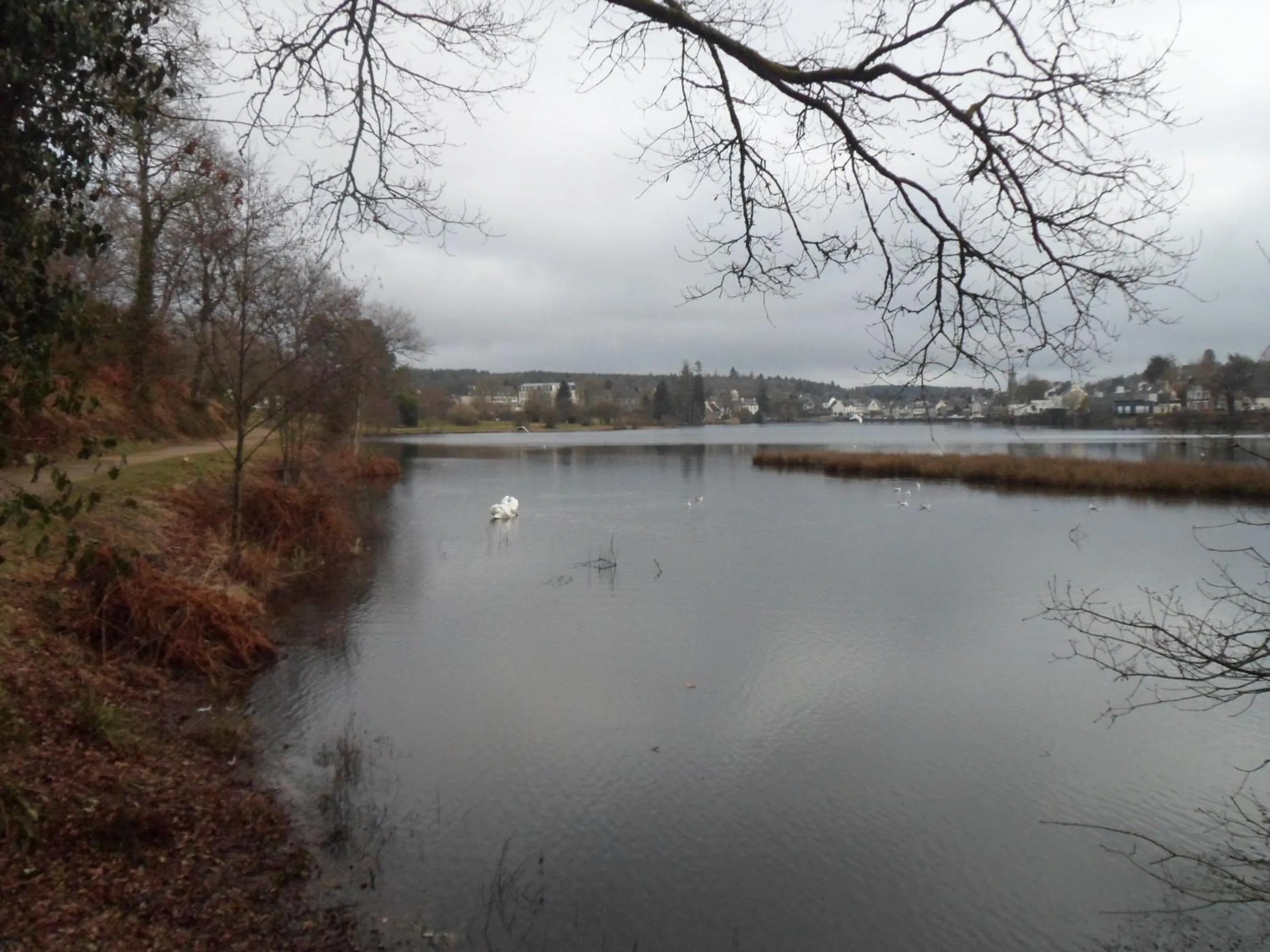 Other in Riverside Bed and Breakfast