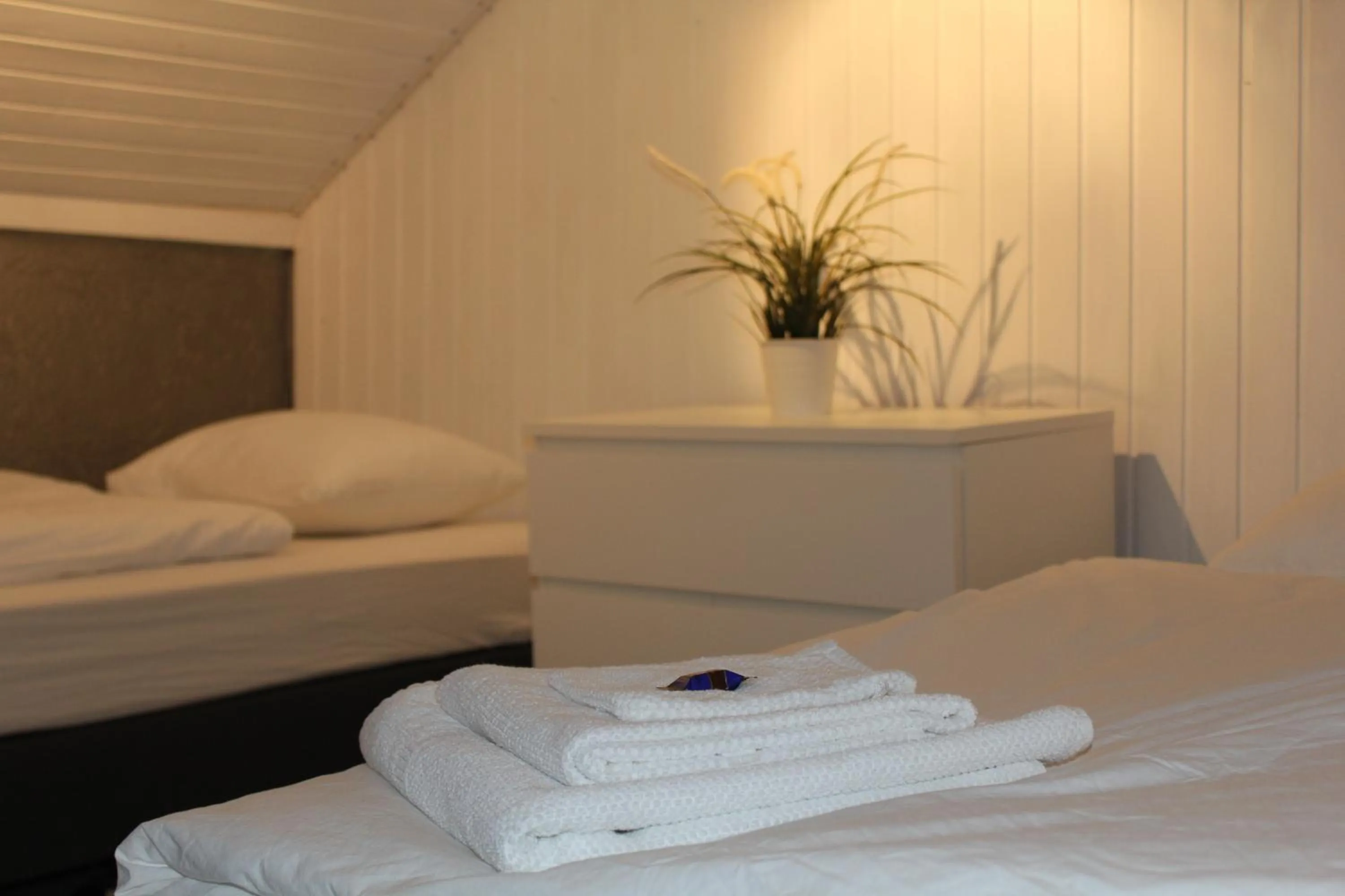 Decorative detail, Bed in DF am Ring Nürburg