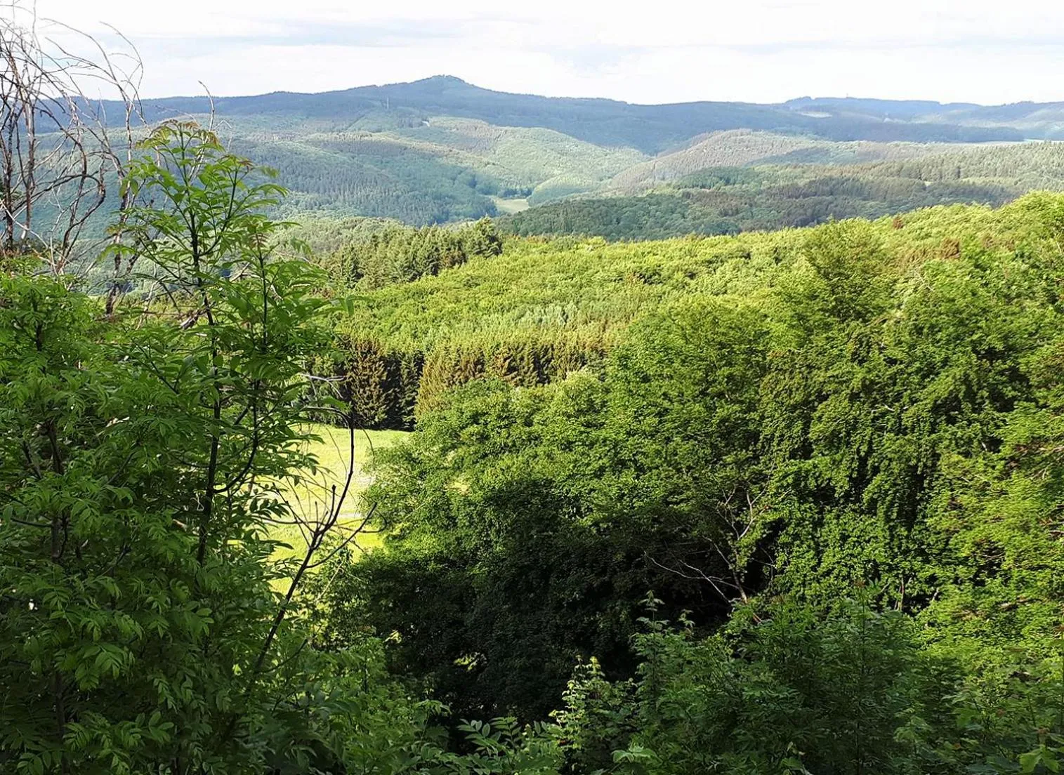 View (from property/room) in DF am Ring Nürburg