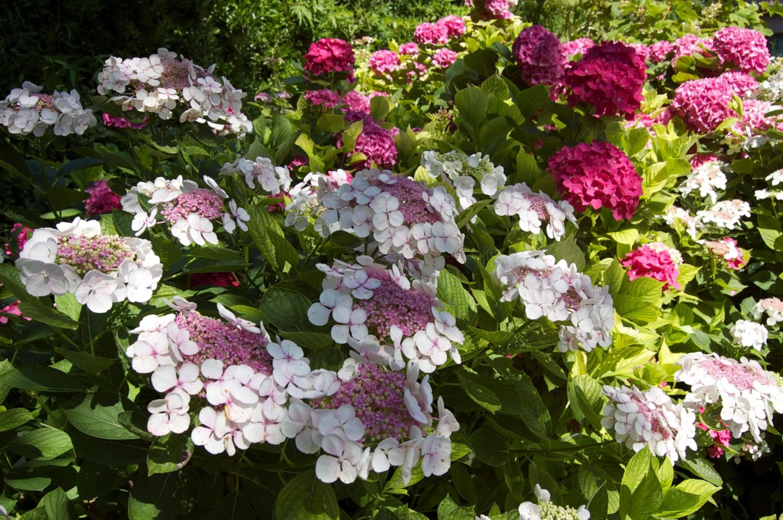 Day in Le Mas Ferrand