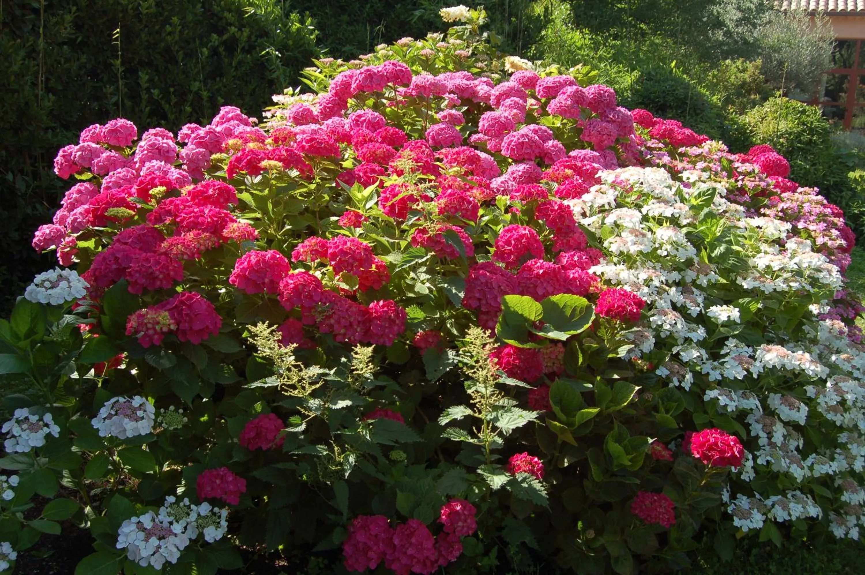 Day in Le Mas Ferrand