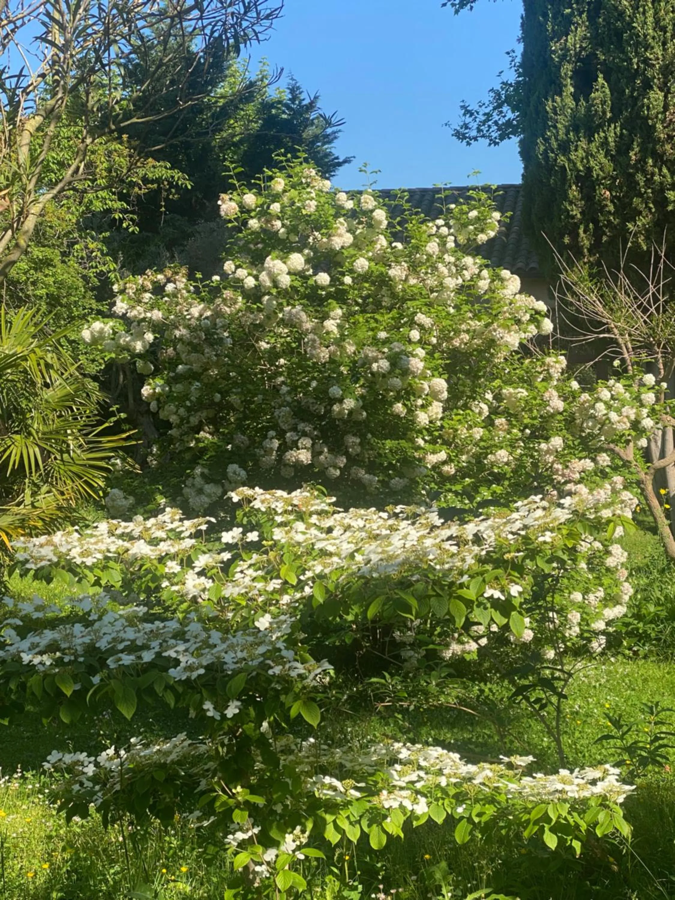 Garden in Le Mas Ferrand
