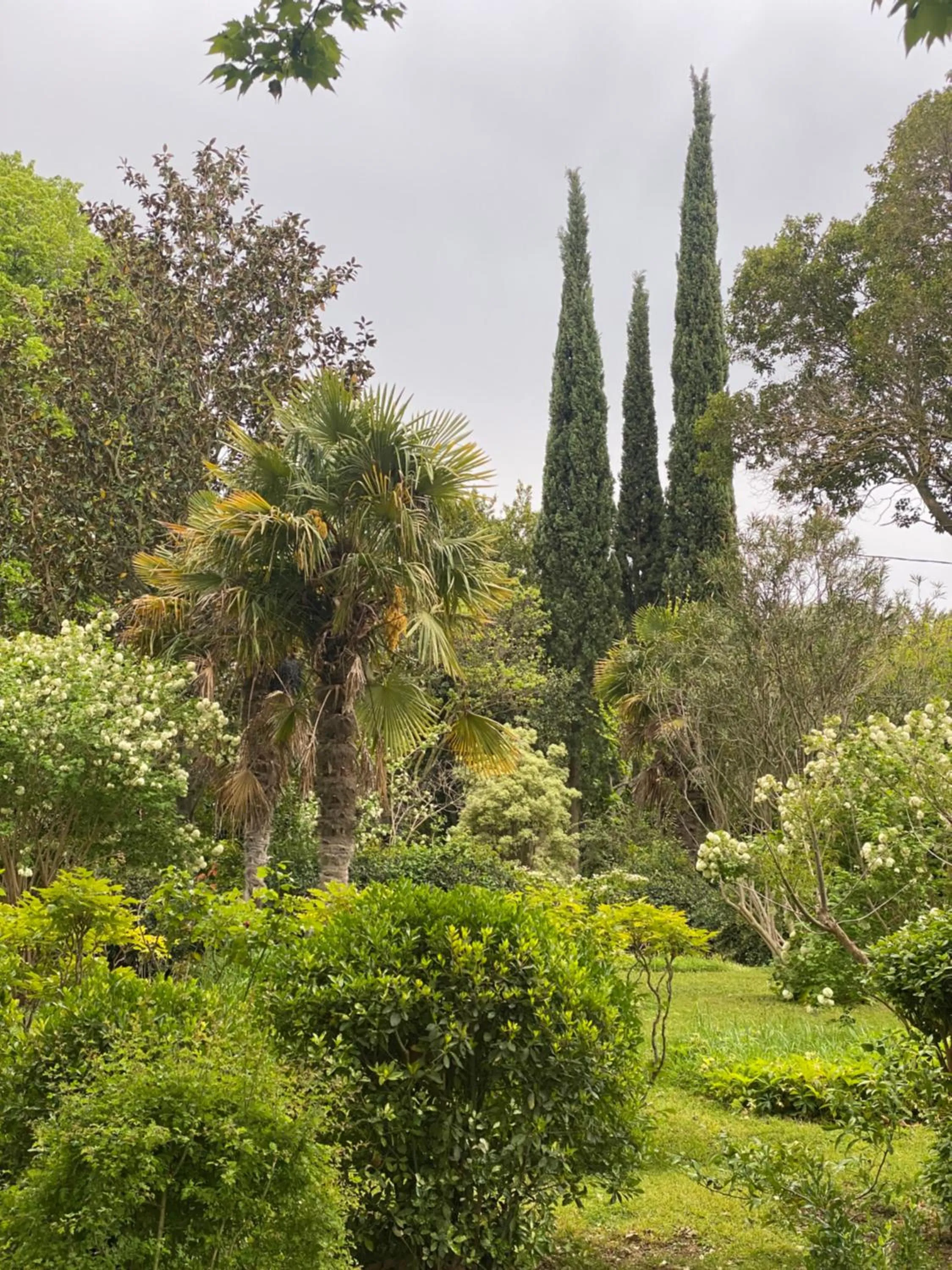 Garden view in Le Mas Ferrand