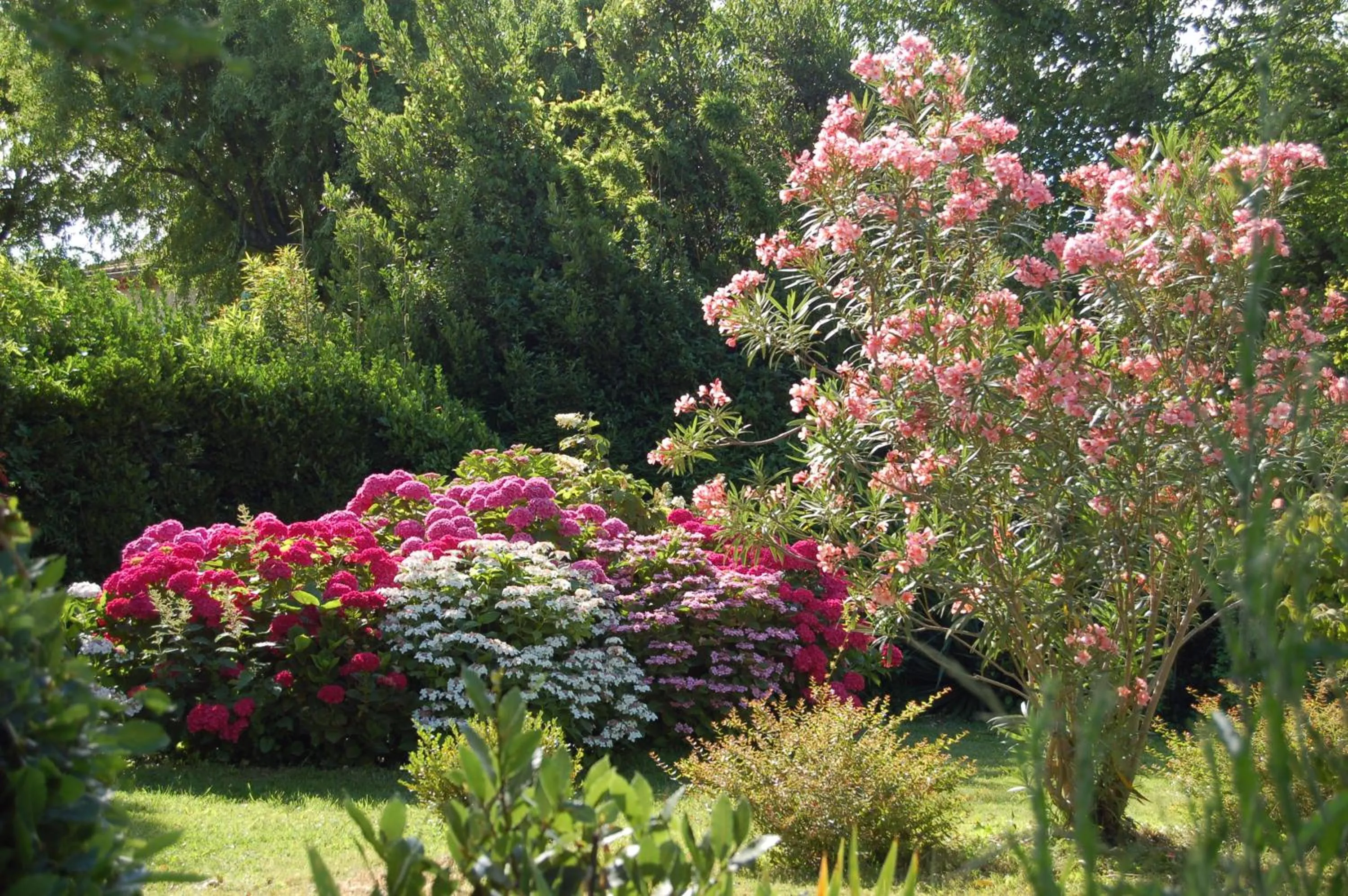 Garden view in Le Mas Ferrand