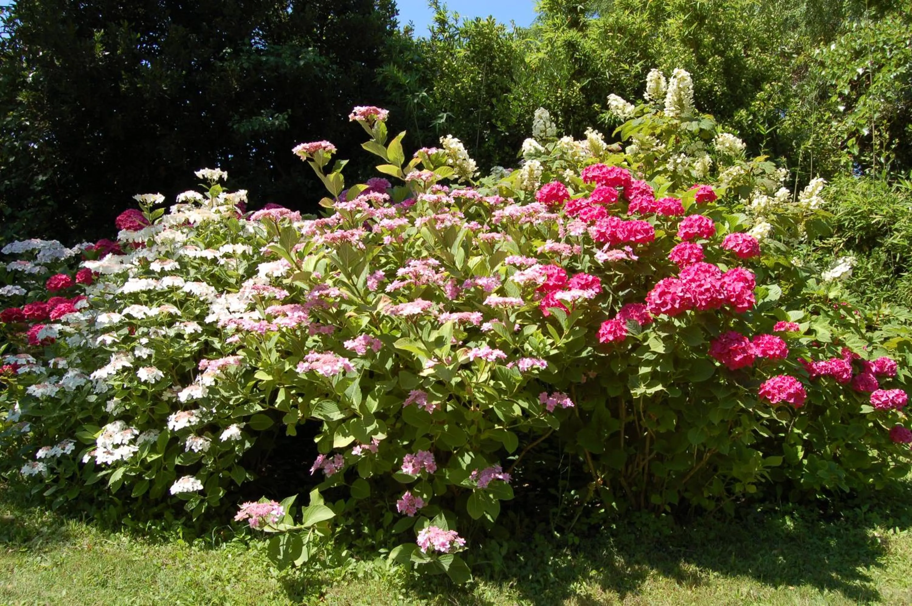 Garden in Le Mas Ferrand