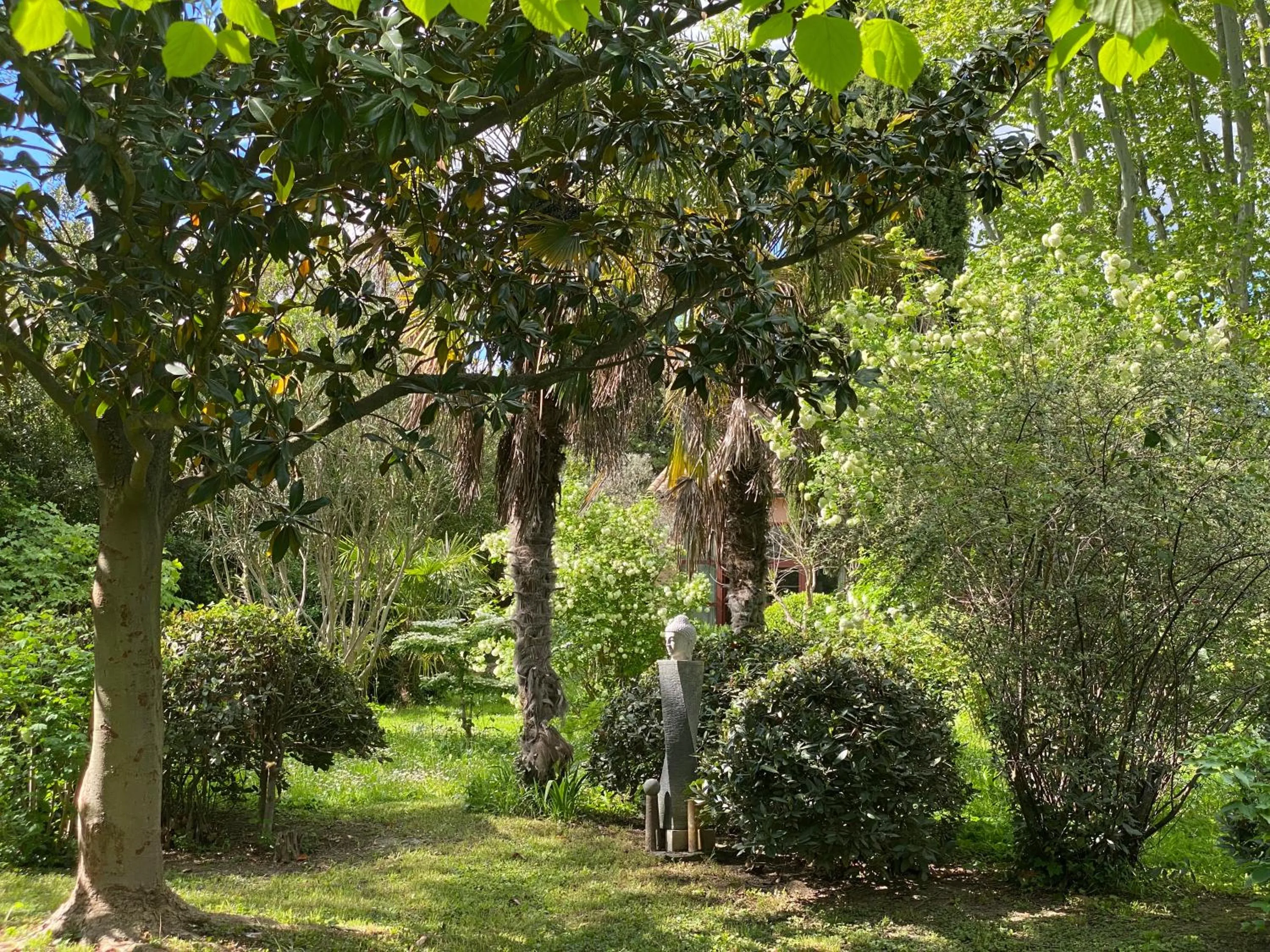 Garden in Le Mas Ferrand