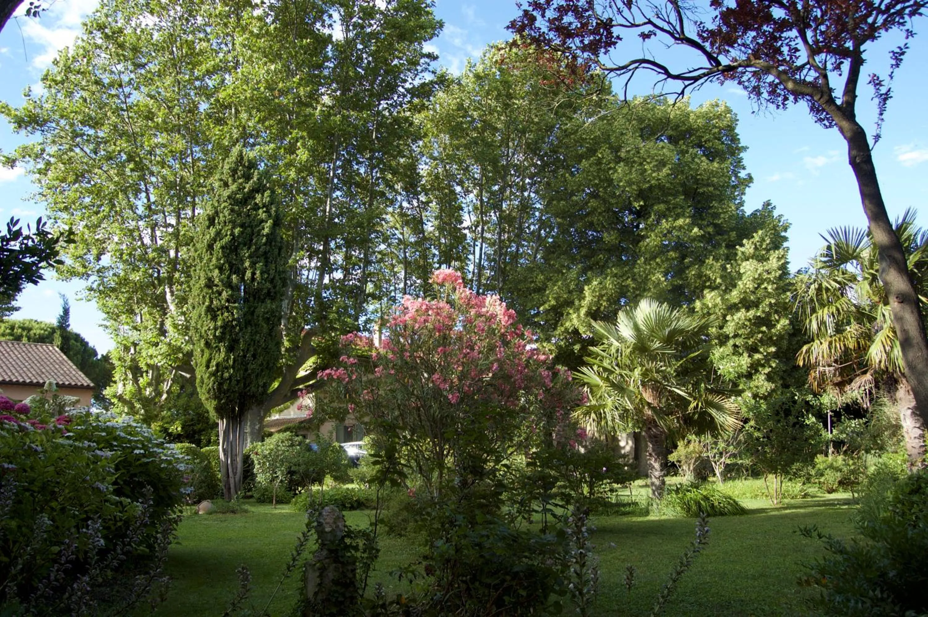 Garden in Le Mas Ferrand
