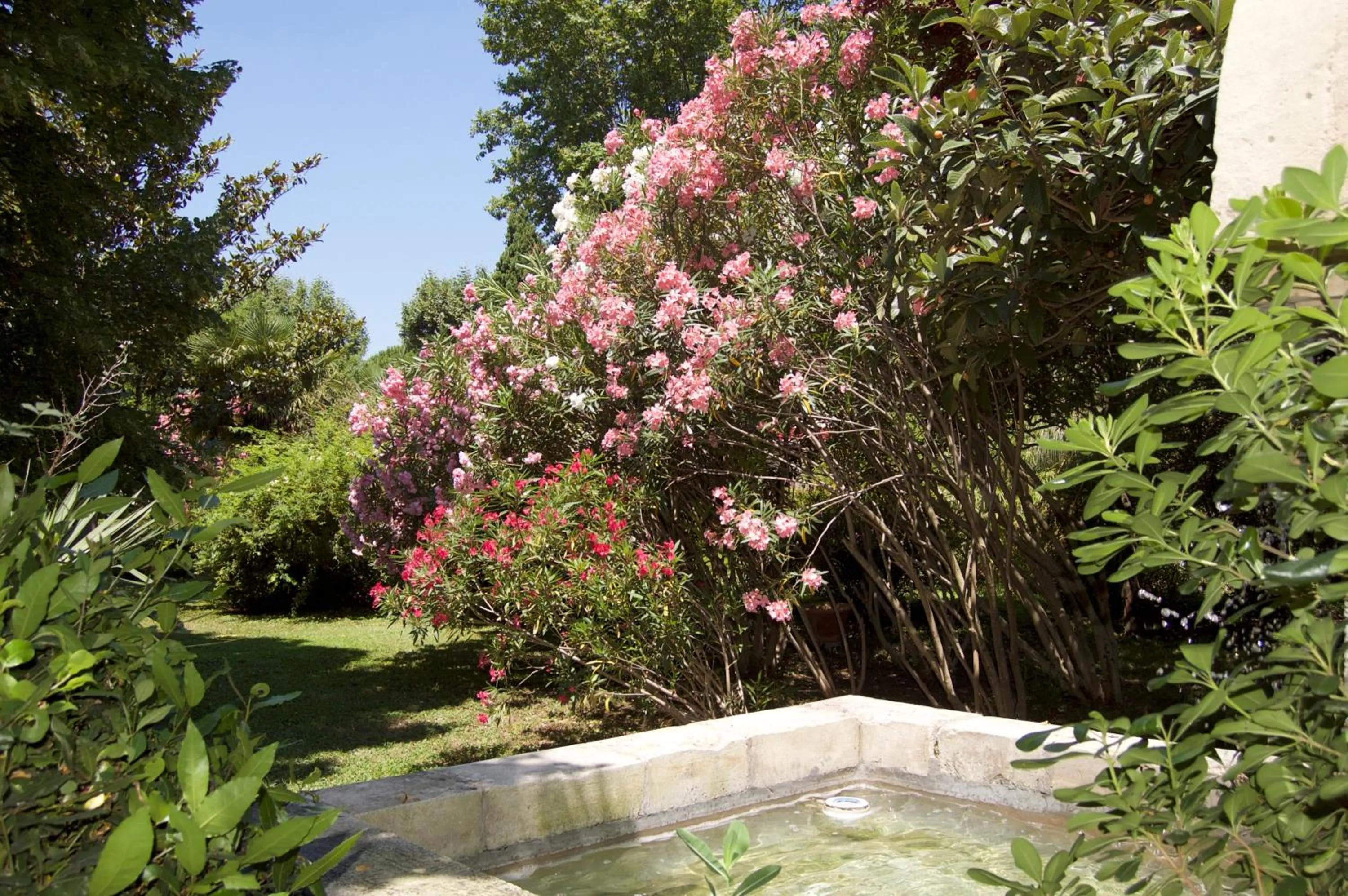 Spring in Le Mas Ferrand