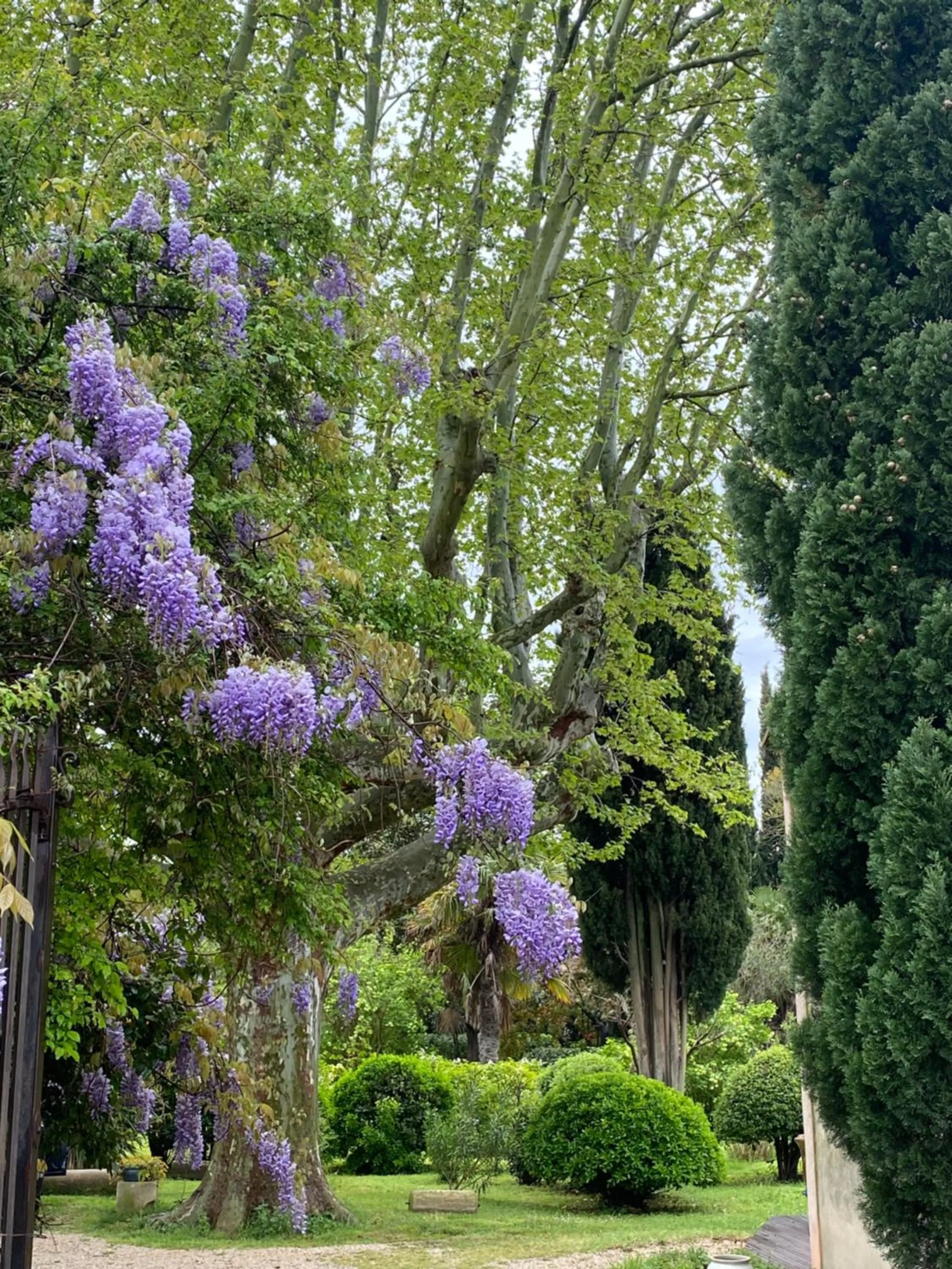 Garden in Le Mas Ferrand