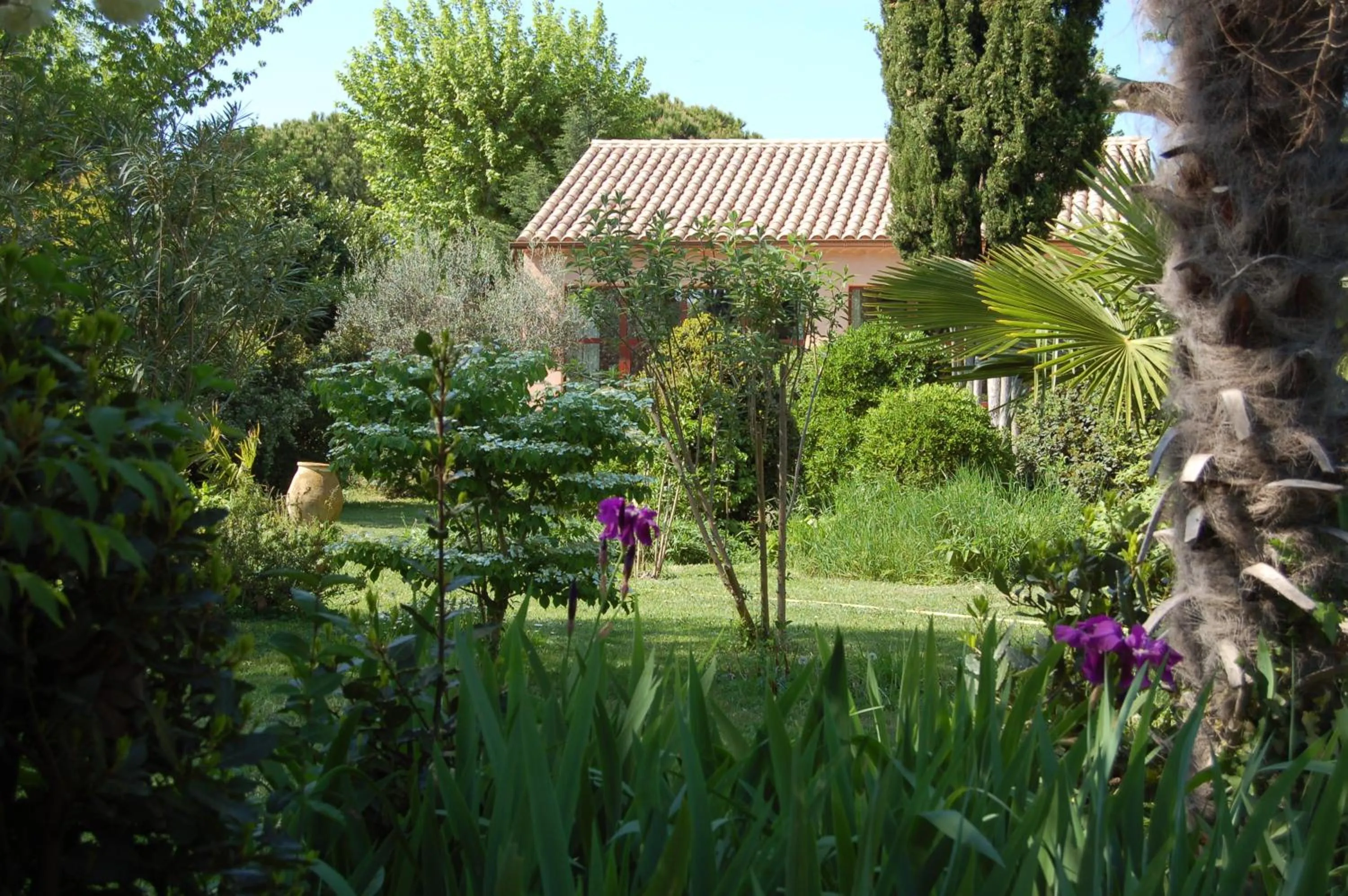 Garden view in Le Mas Ferrand