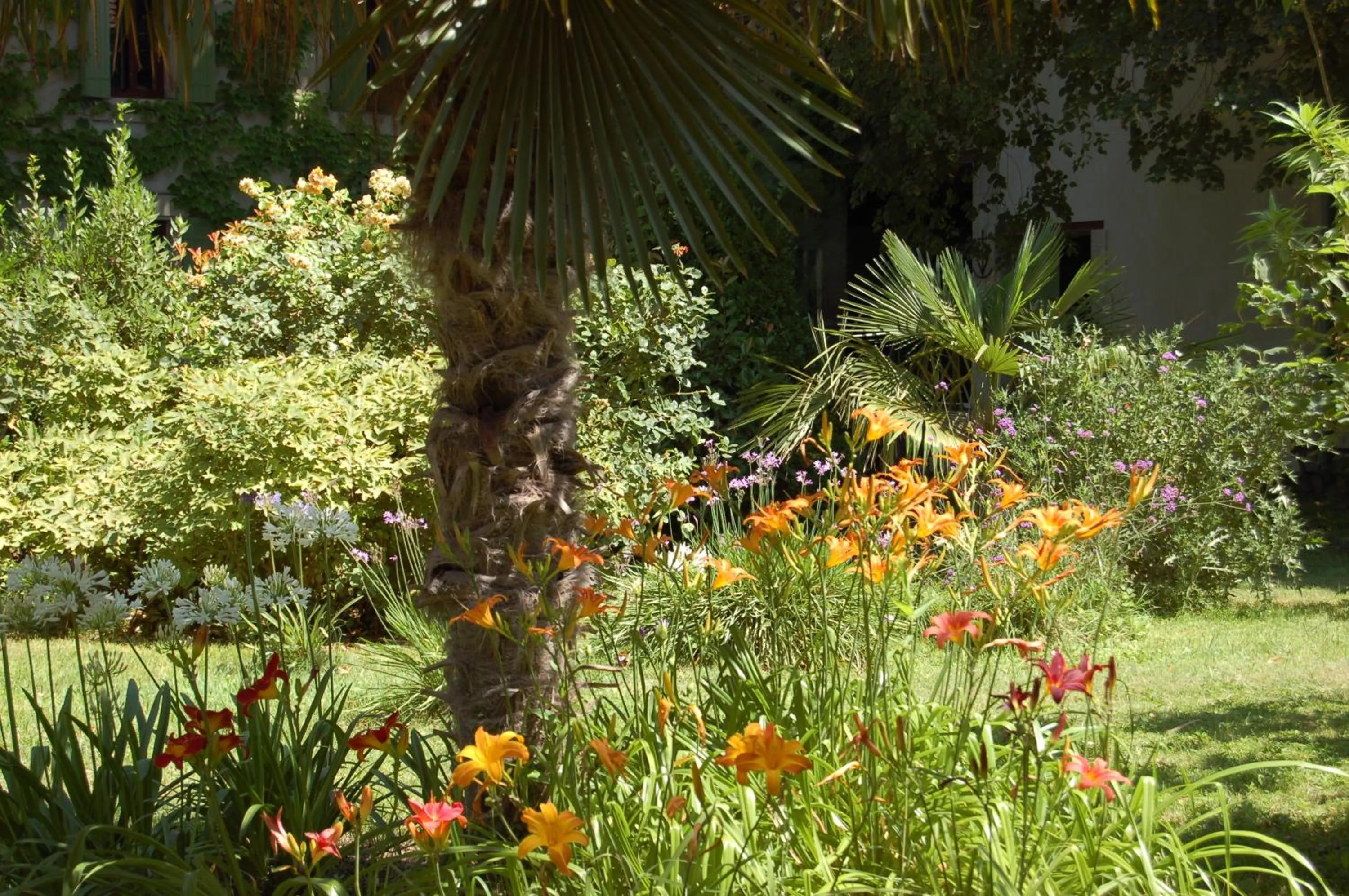 Garden in Le Mas Ferrand