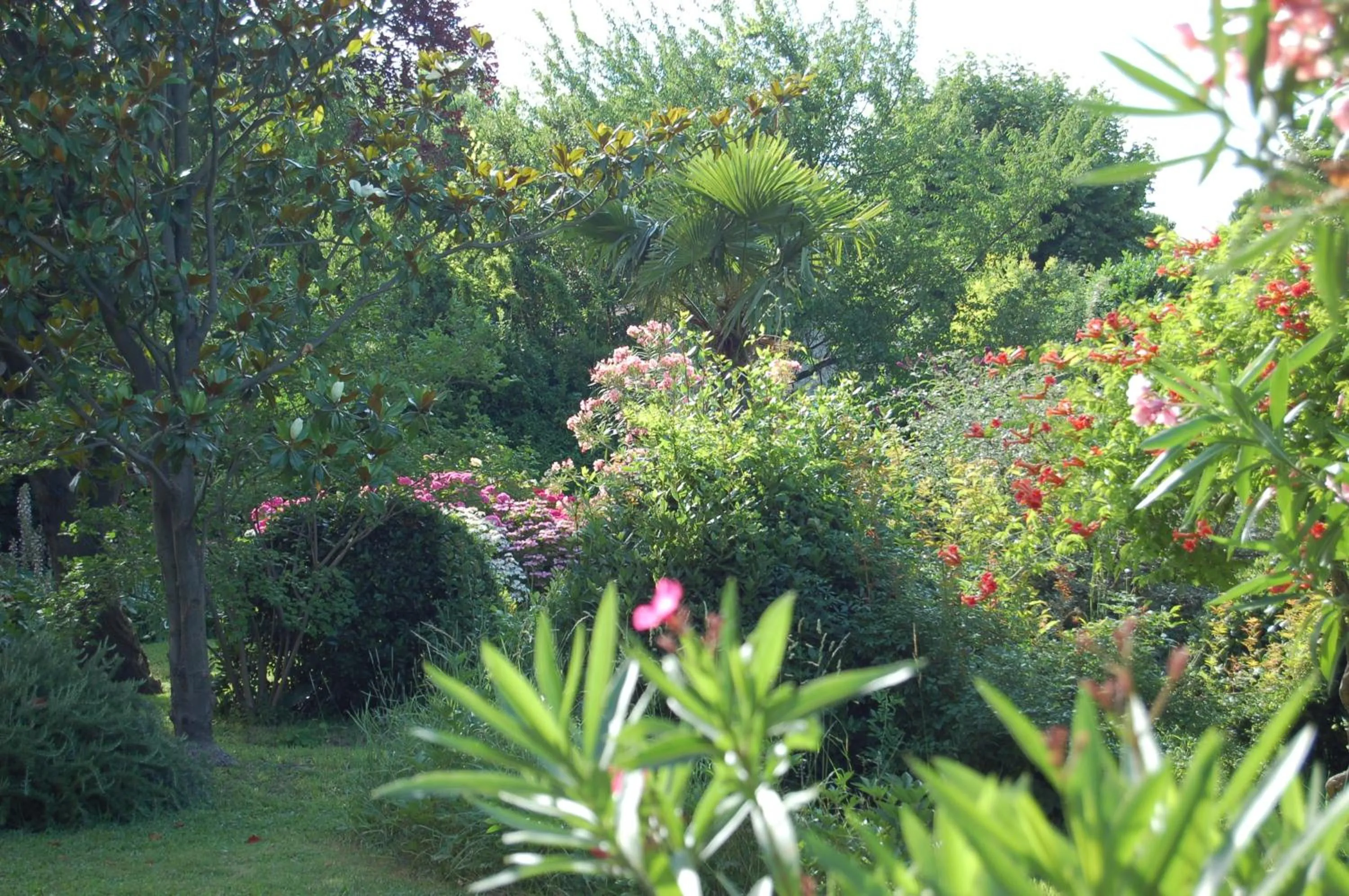 Garden view in Le Mas Ferrand