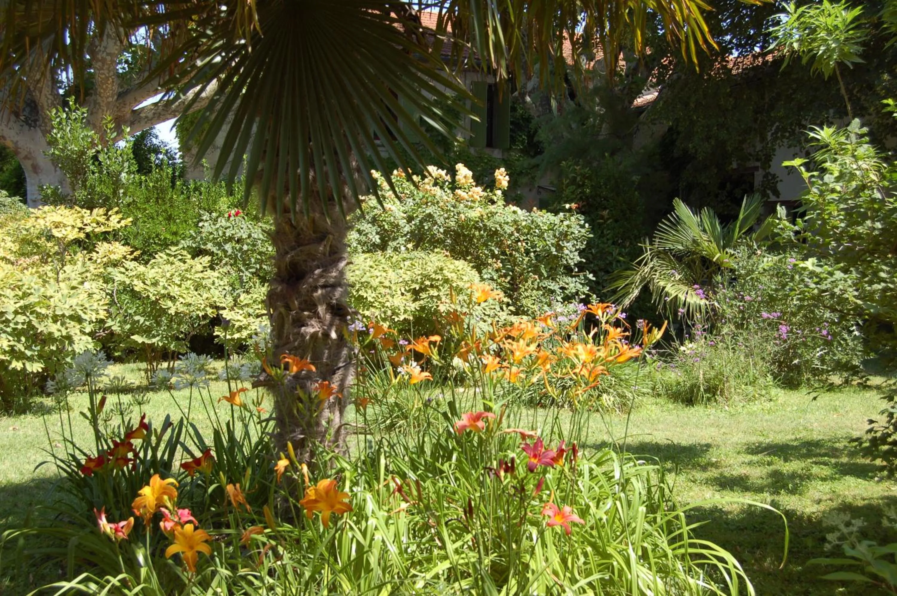 Garden in Le Mas Ferrand