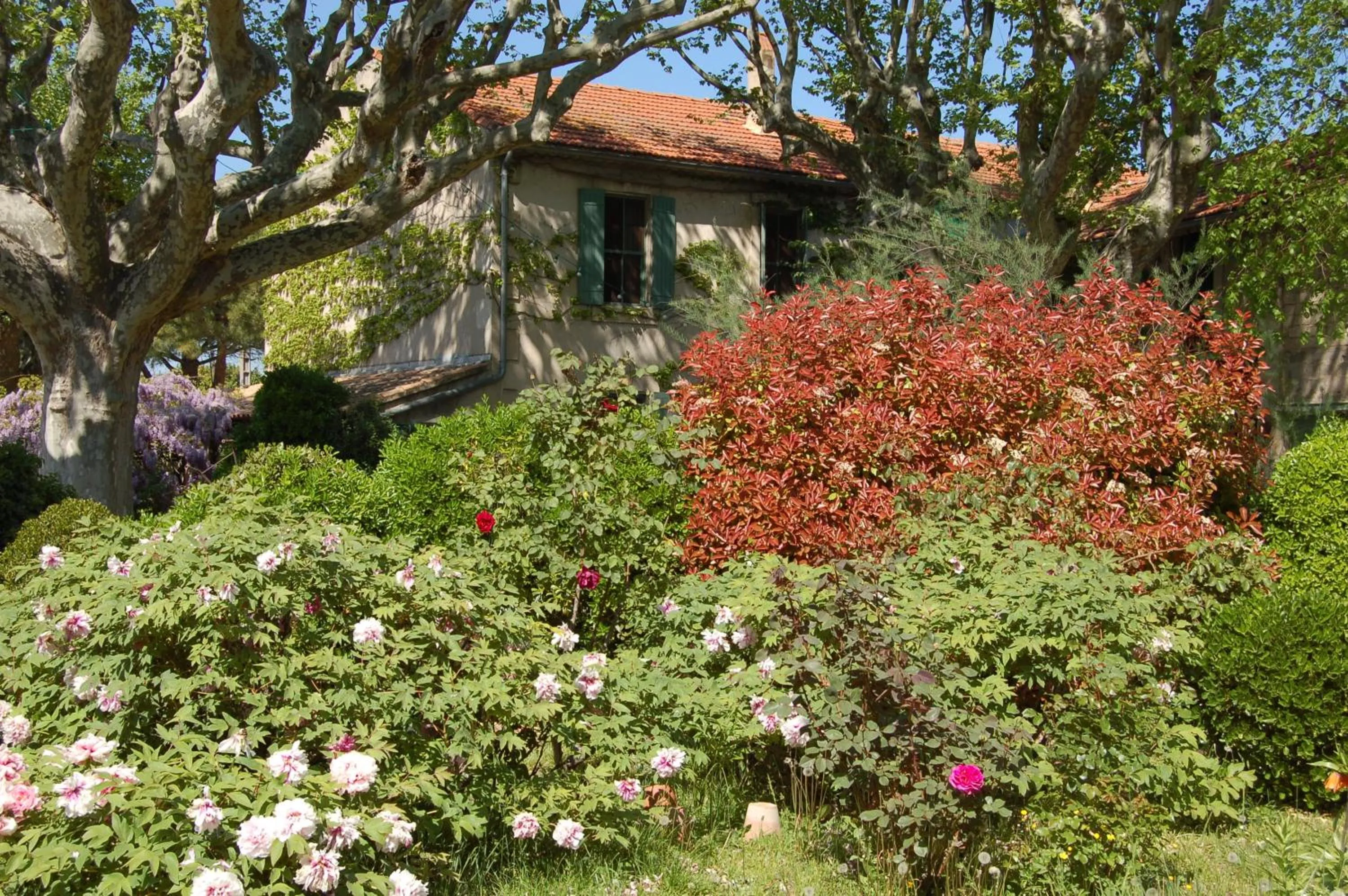 Garden view in Le Mas Ferrand