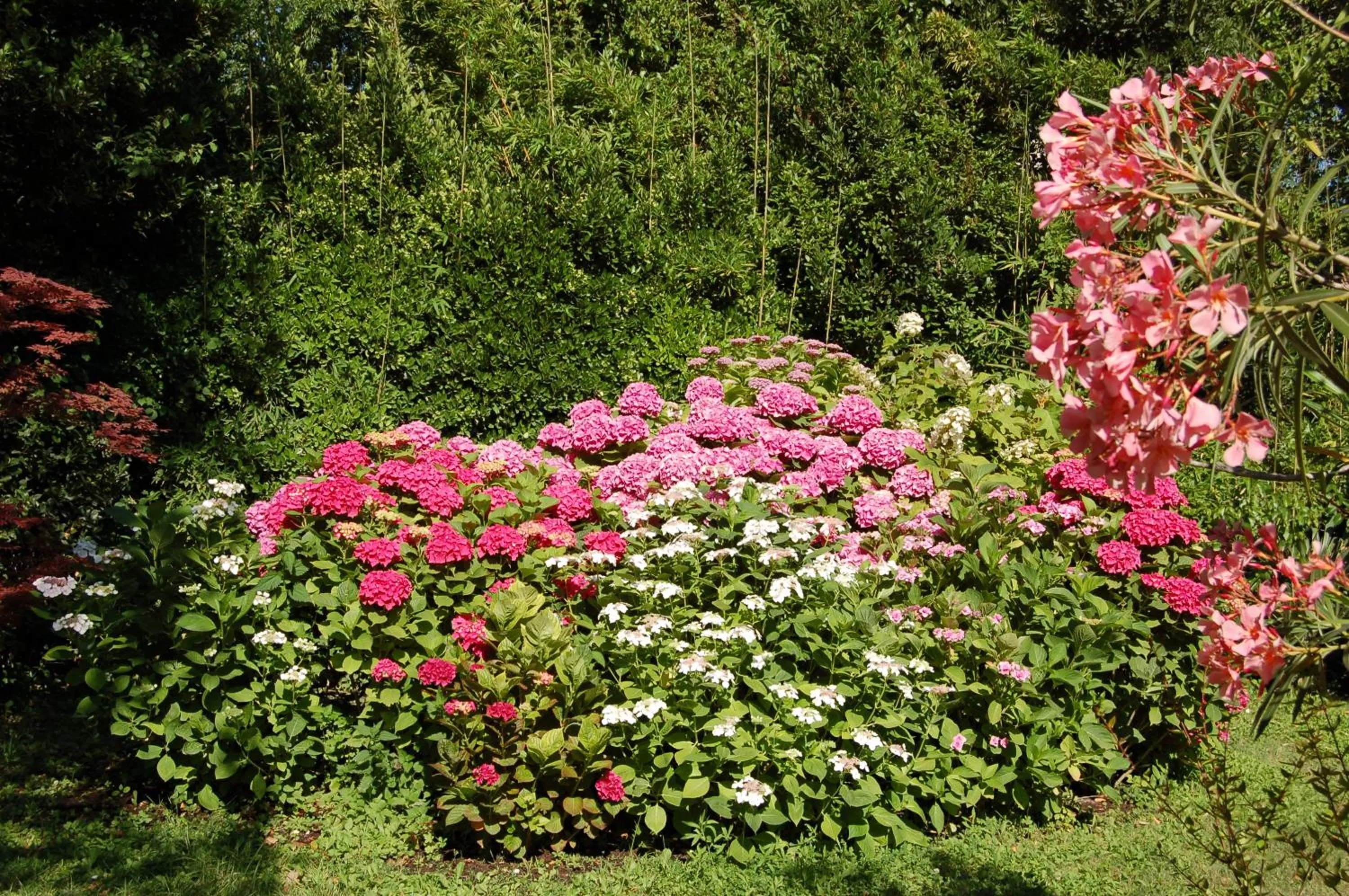 Day in Le Mas Ferrand