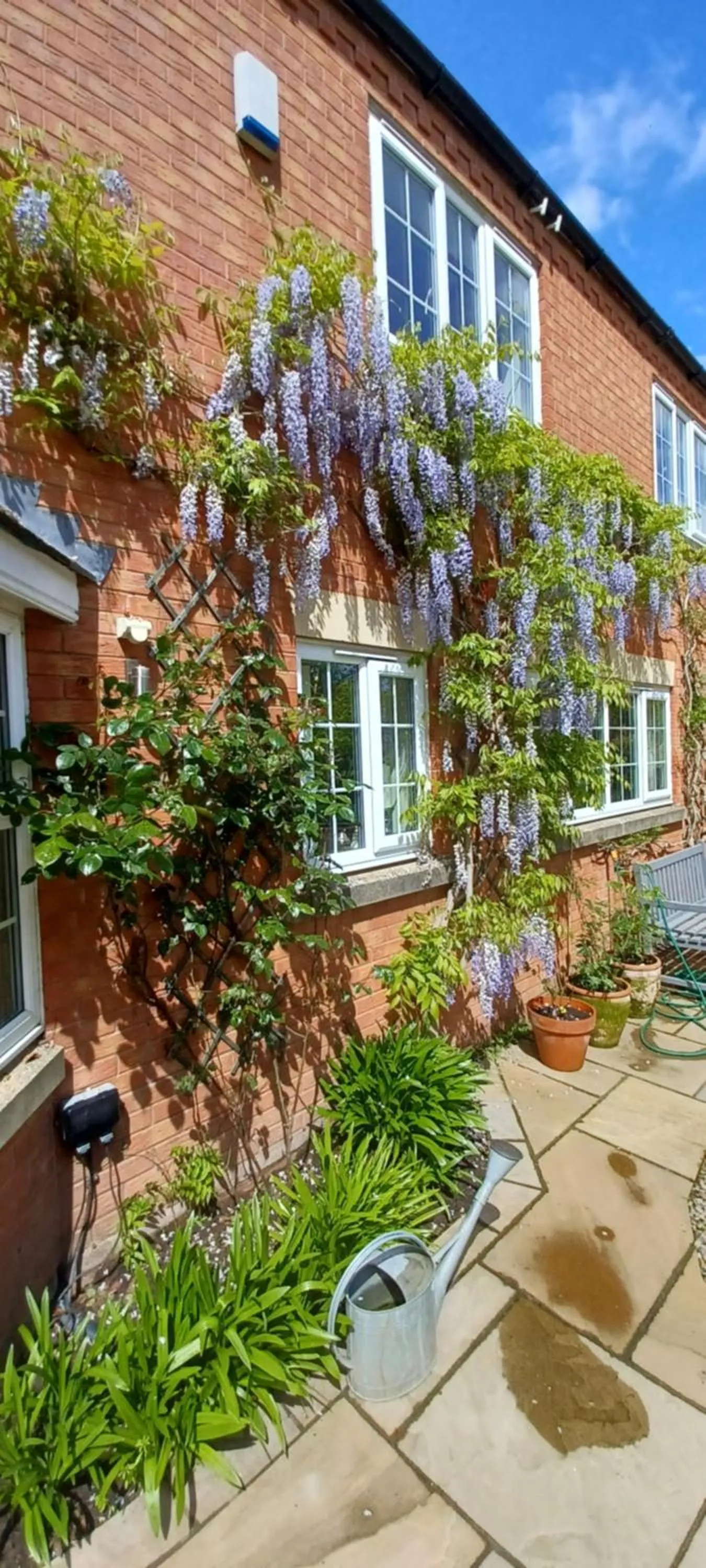 Harlequin B&B Ledbury