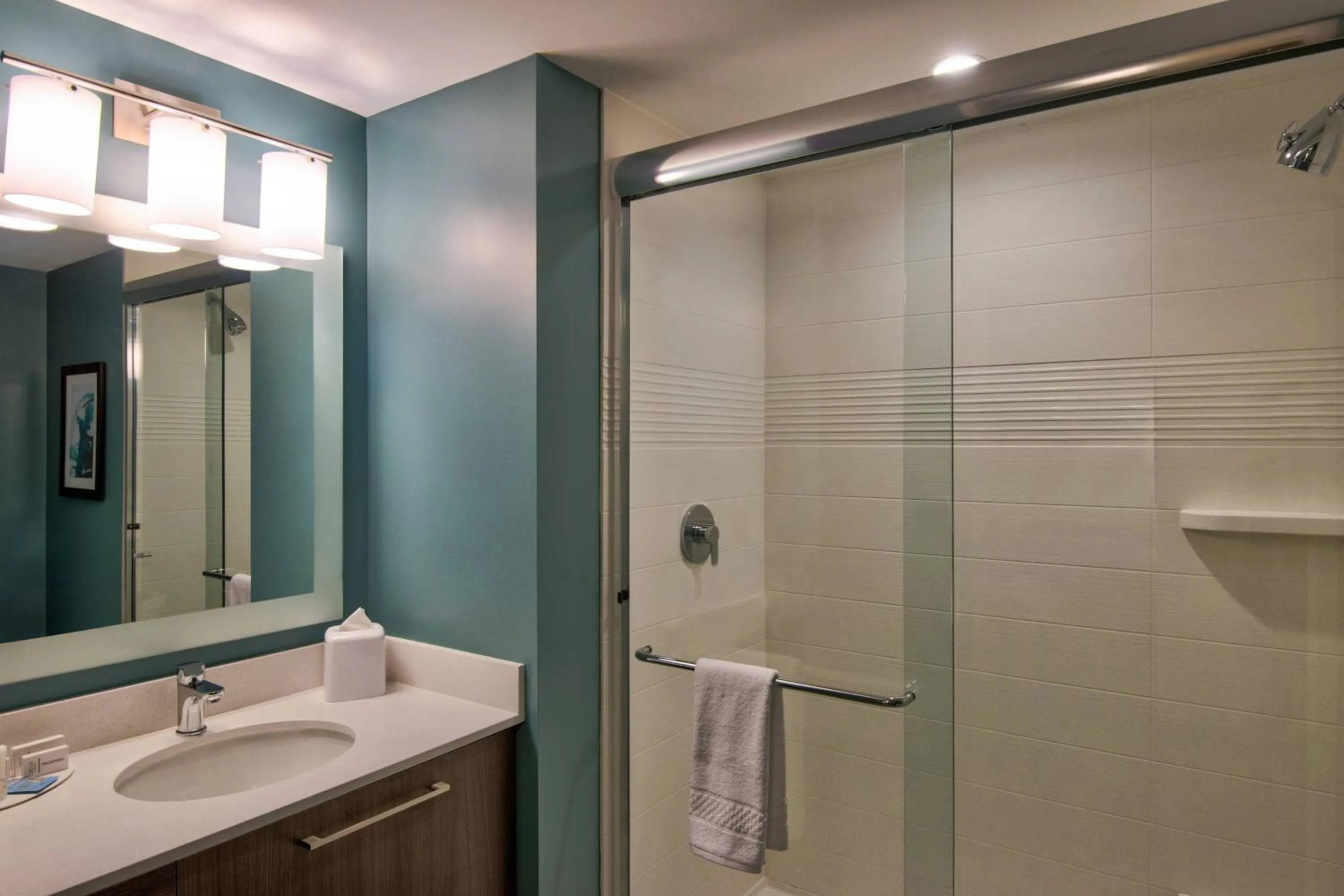 Bathroom in TownePlace Suites by Marriott Miami Airport