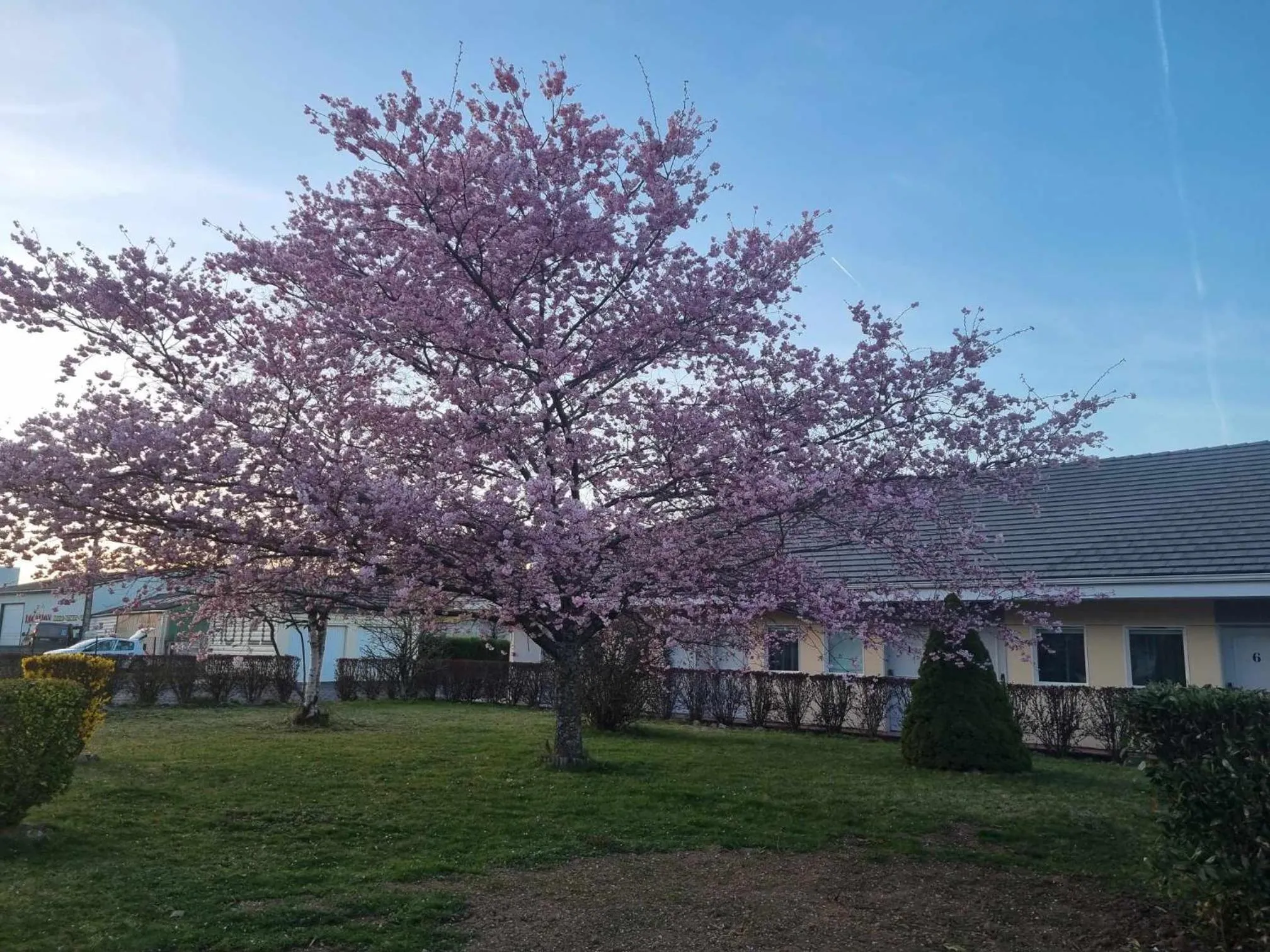 Inner courtyard view in The Originals Access, Hôtel Le Lutéa
