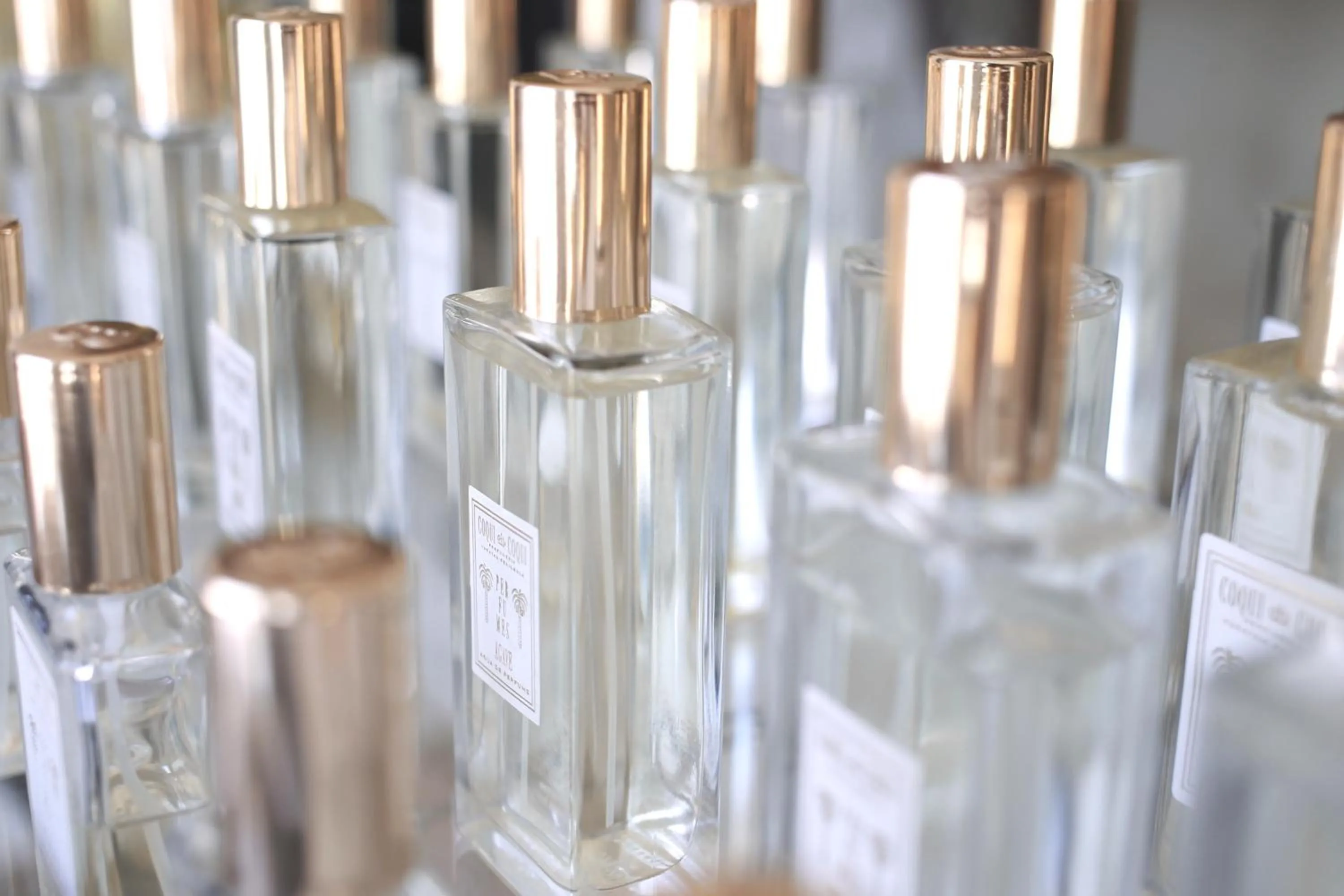 Business facilities in Coqui Coqui Papholchac Coba Residence & Spa