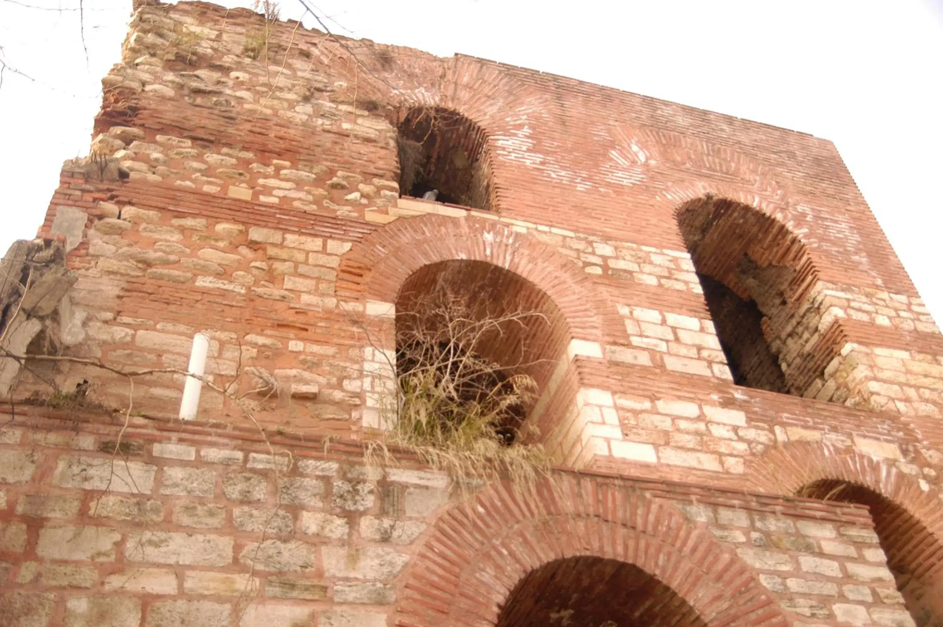 View (from property/room) in Magnaura House Hotel View (from property/room) in Magnaura House Hotel