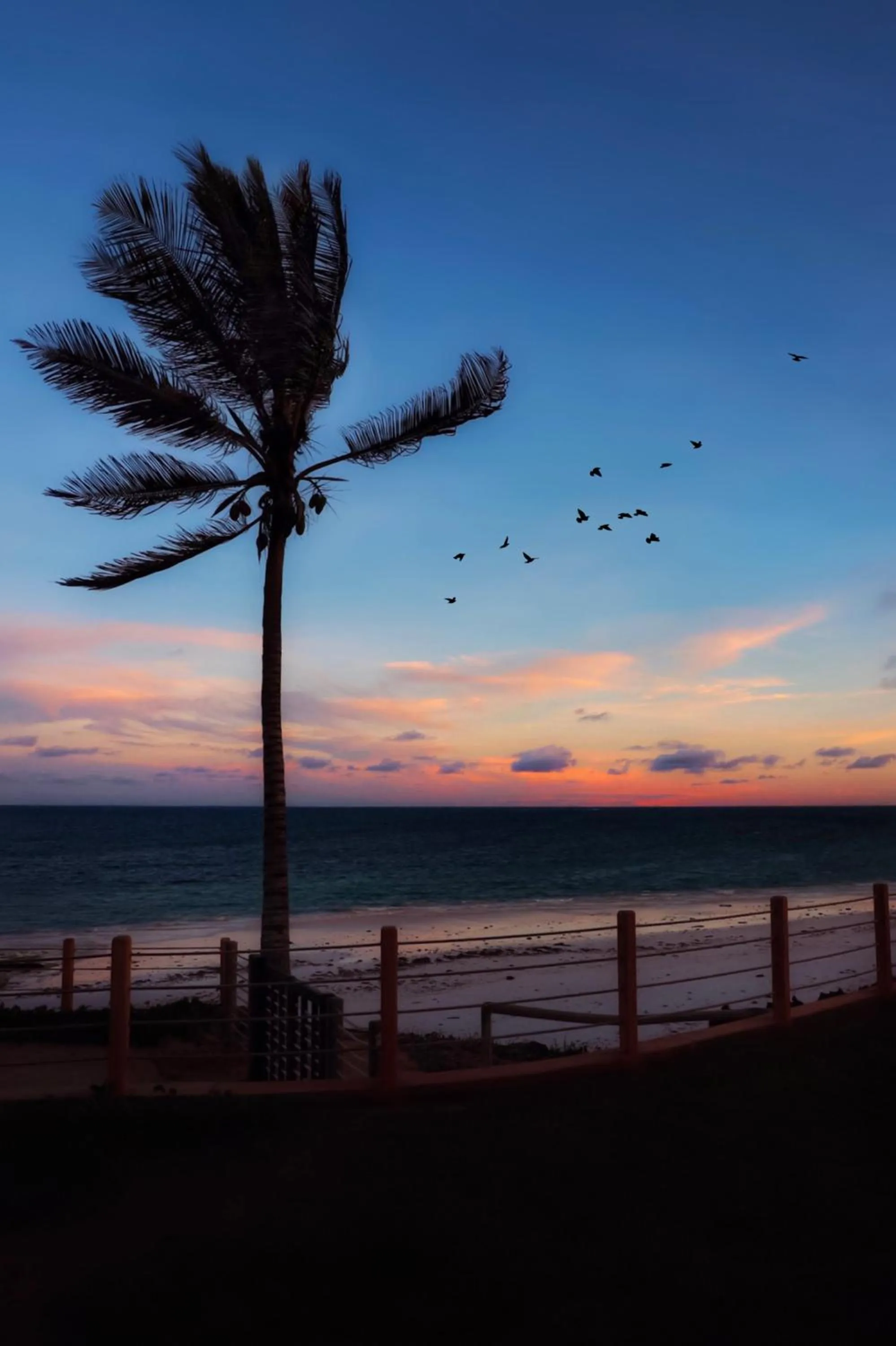 Beach in Silver Palm Spa & Resort