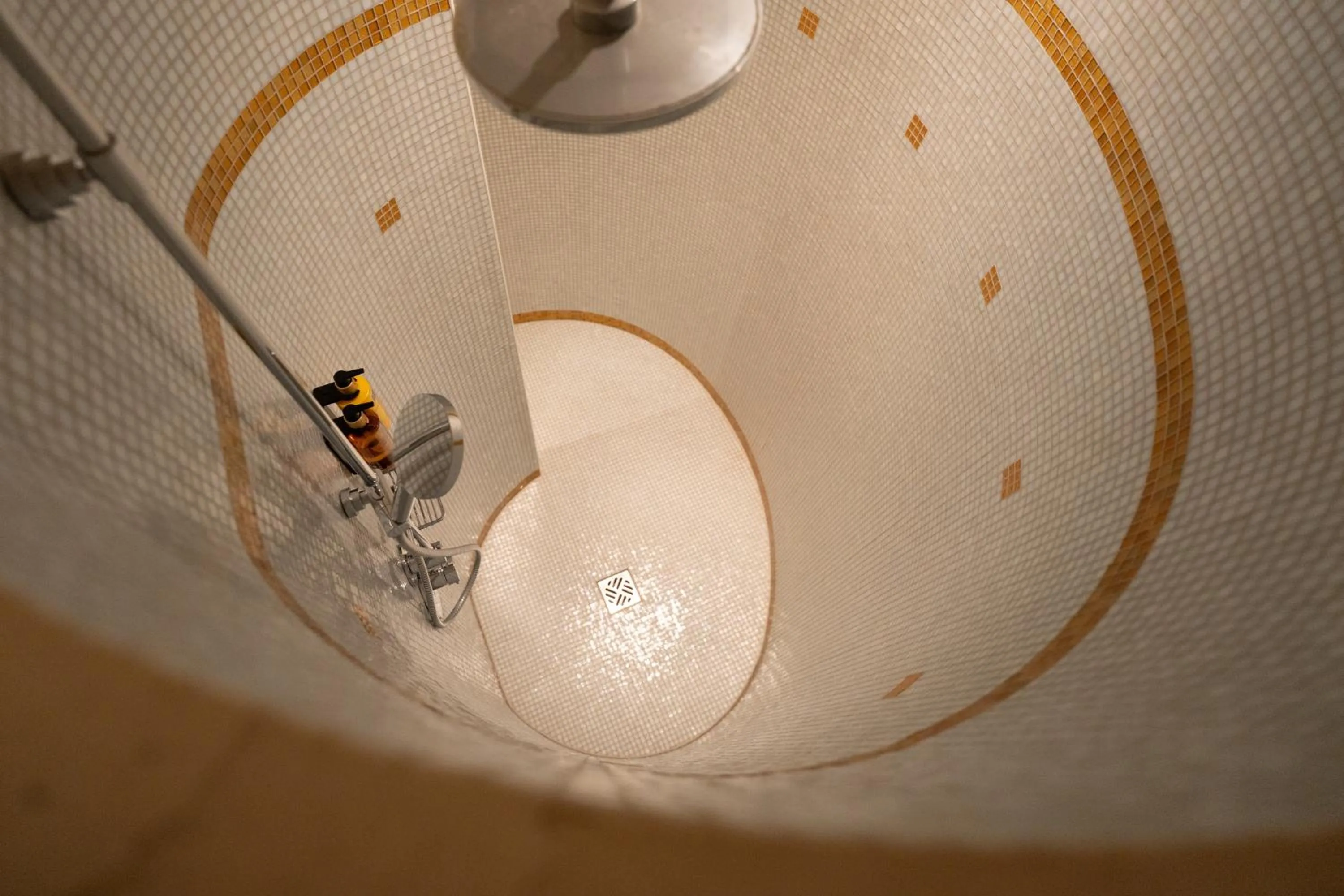 Shower in Aqua Aurelia Suitenhotel an den Thermen