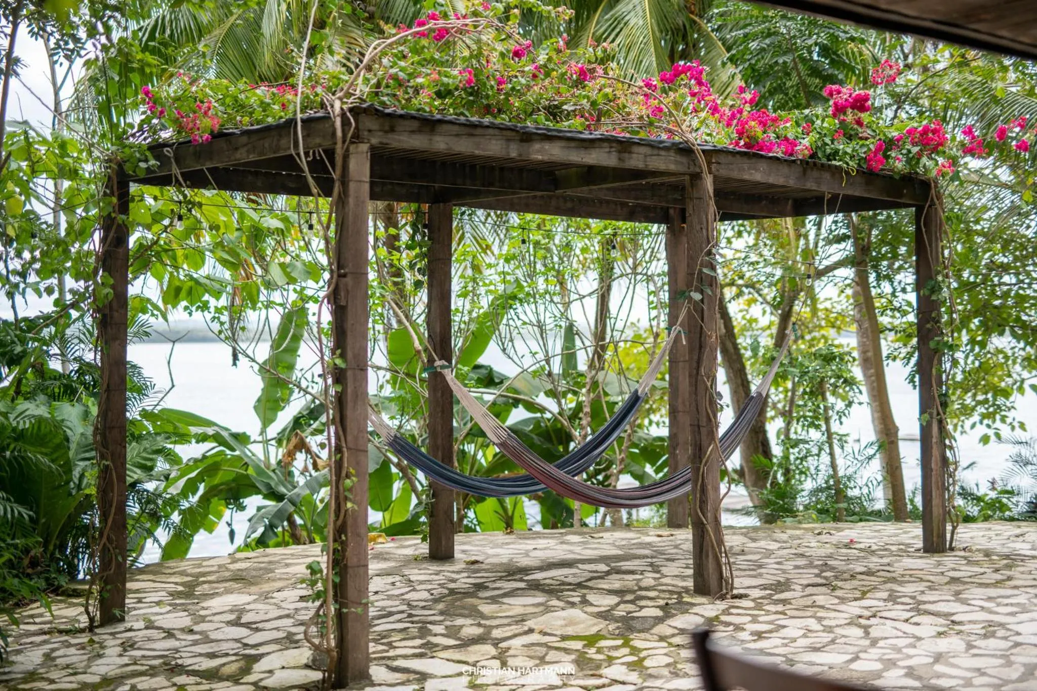 Patio in Hotel Gringo Perdido