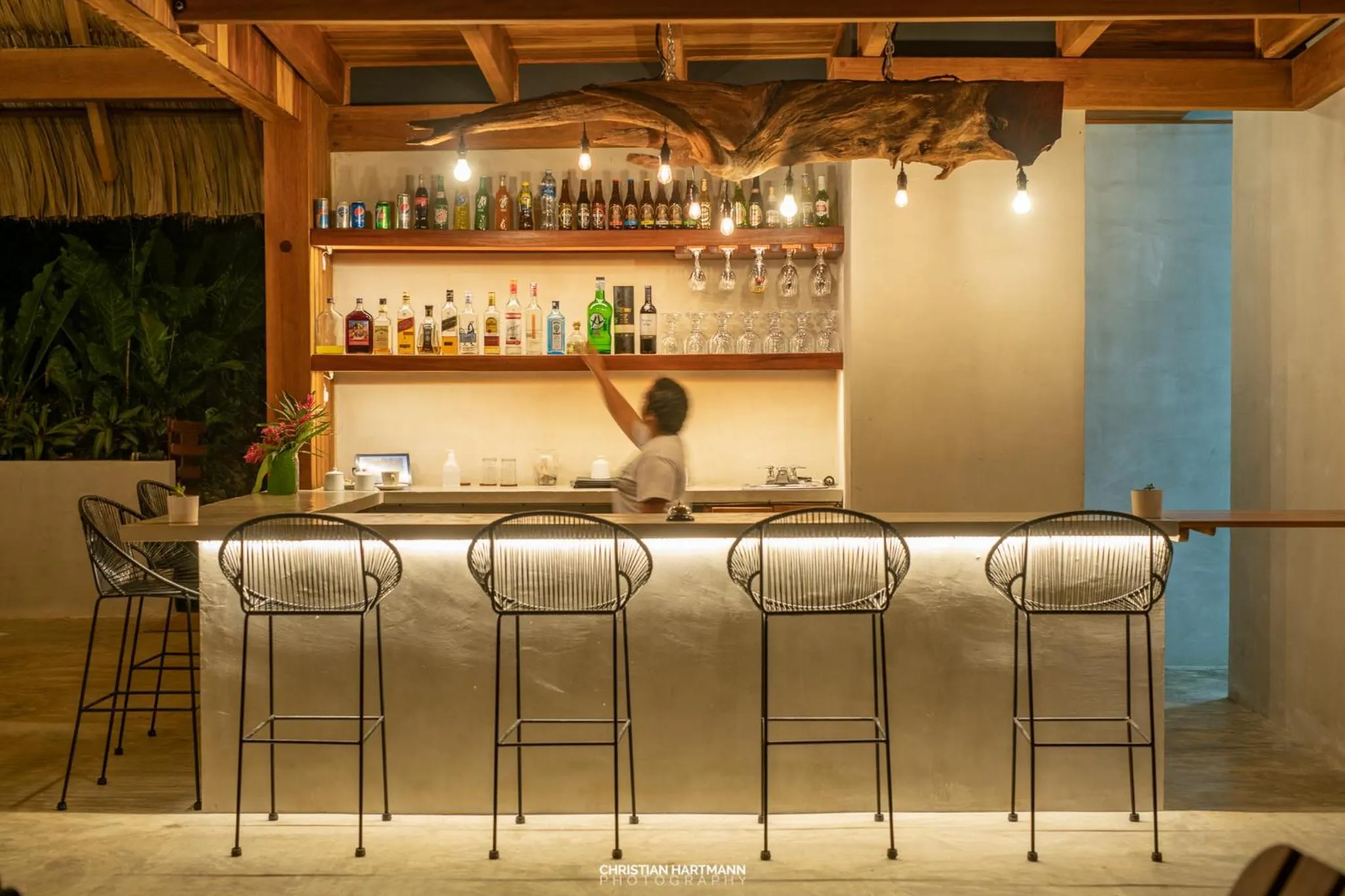 Lounge or bar in Hotel Gringo Perdido