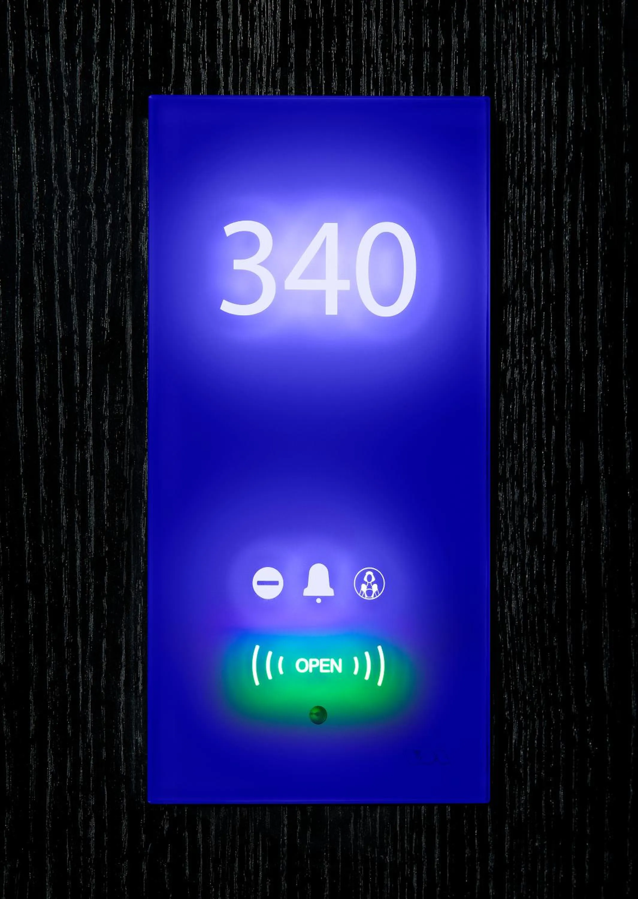 Decorative detail in The Address Connolly