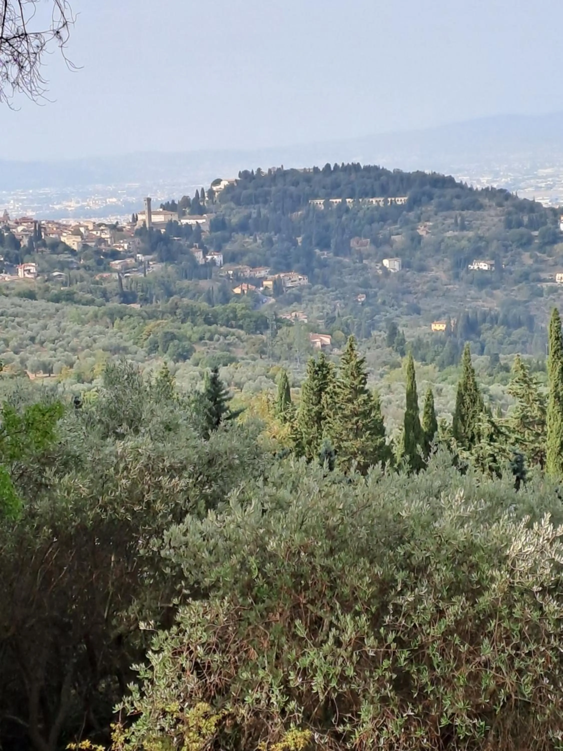 B&B La Dimora di Alida