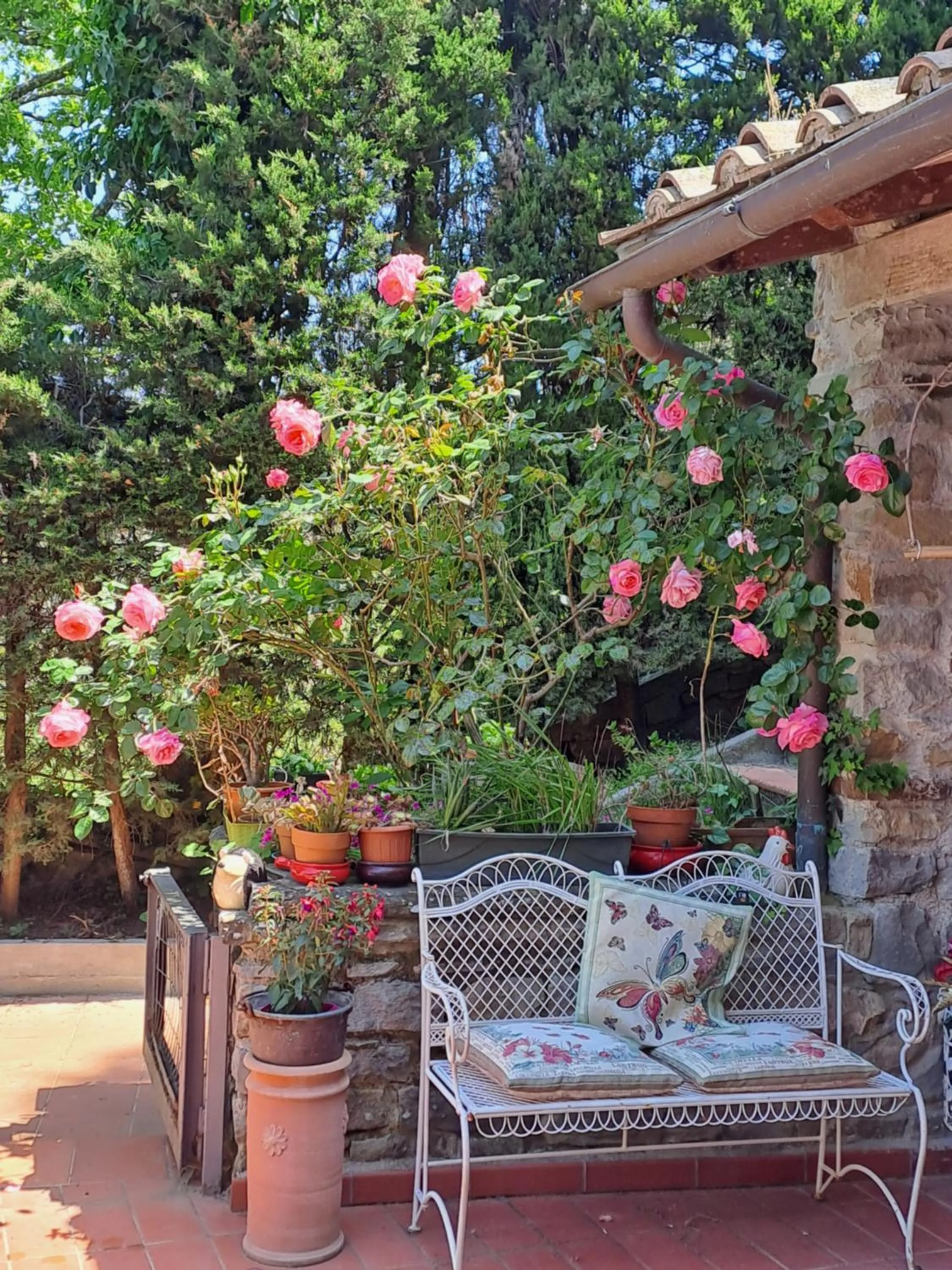 B&B La Dimora di Alida