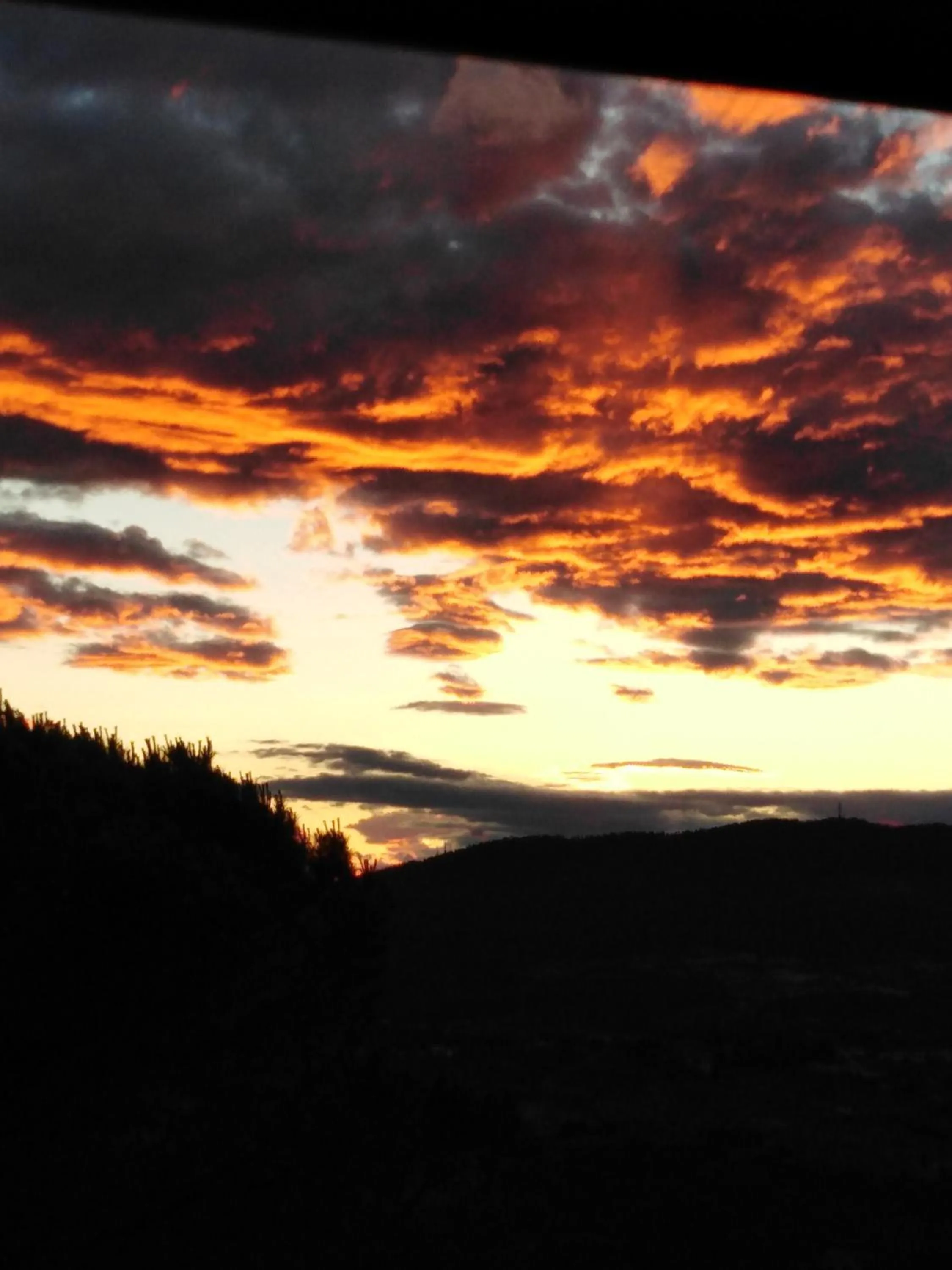 B&B La Dimora di Alida